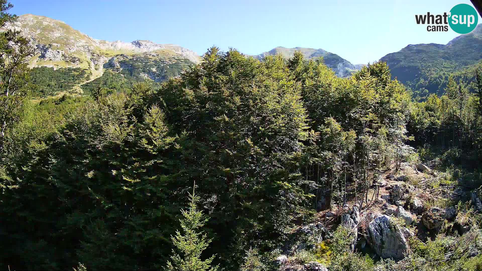 Webcam PLANINA RAZOR (1315) | Blick auf Vogel und Globoko