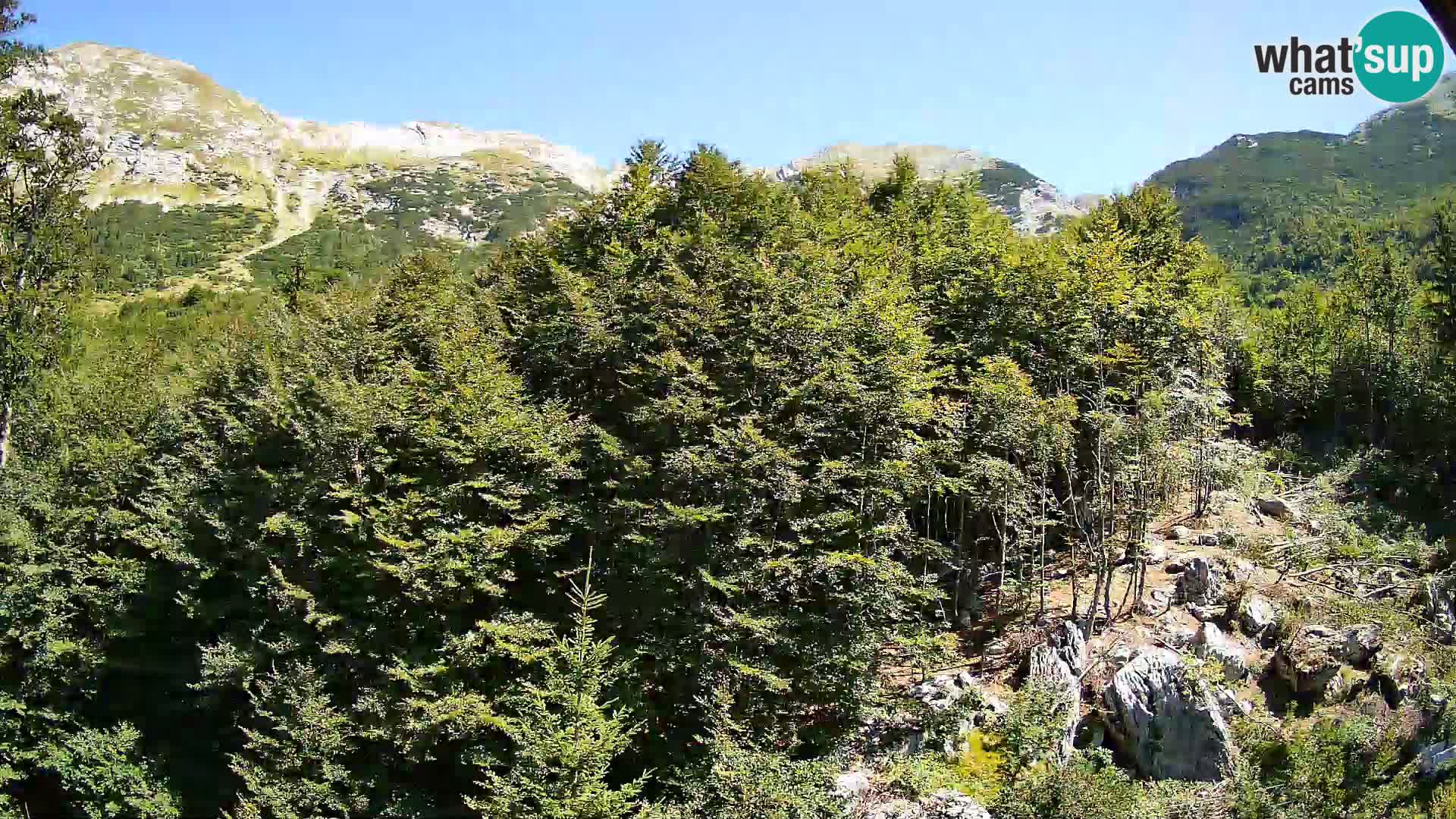 PLANINA RAZOR Live Cam (1315) | vista su Vogel e Globoko