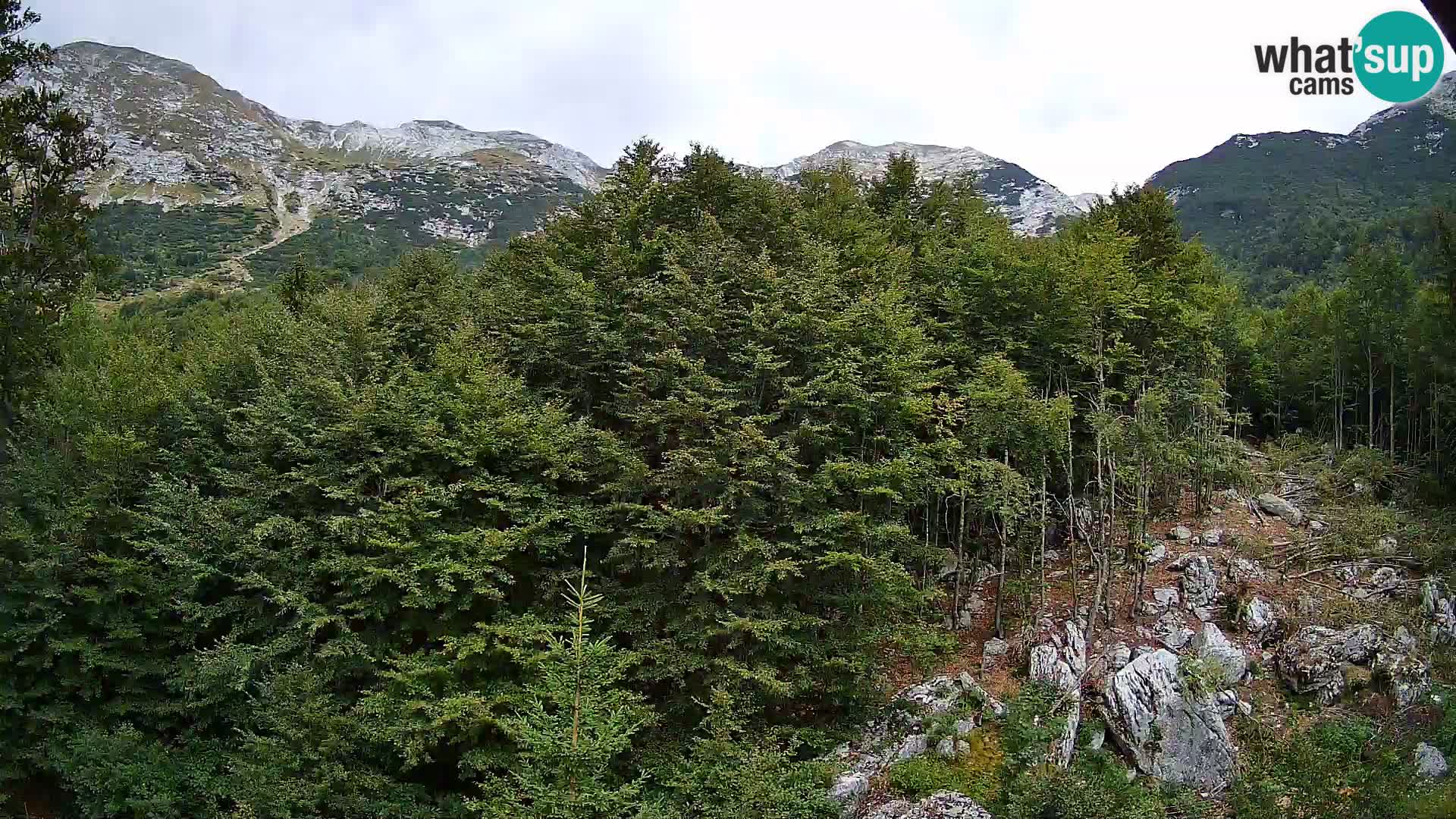 PLANINA RAZOR web kamera (1315) | pogled na Vogel i Globoko