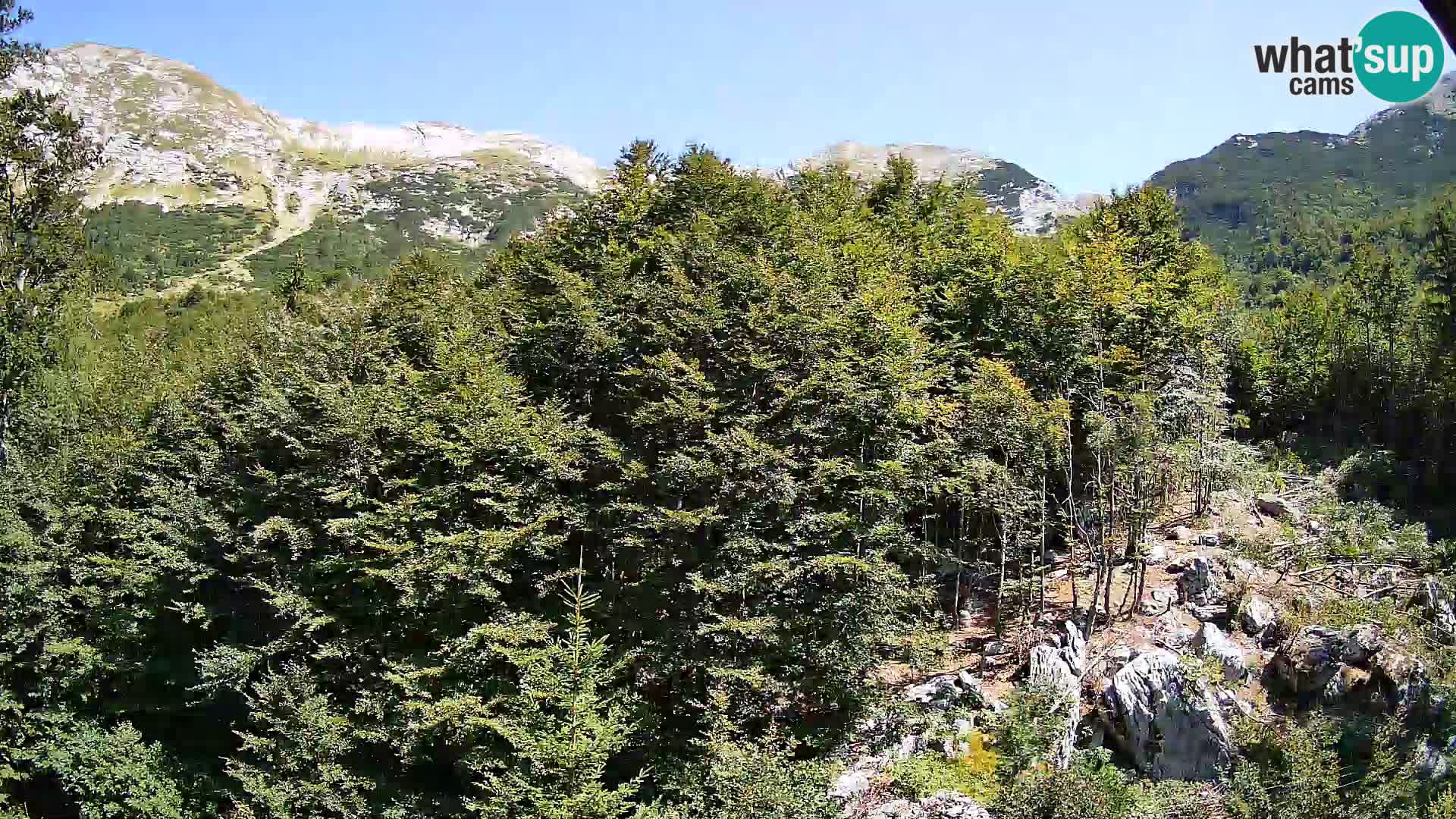 Cámara web PLANINA RAZOR (1315) | vista a Vogel y Globoko