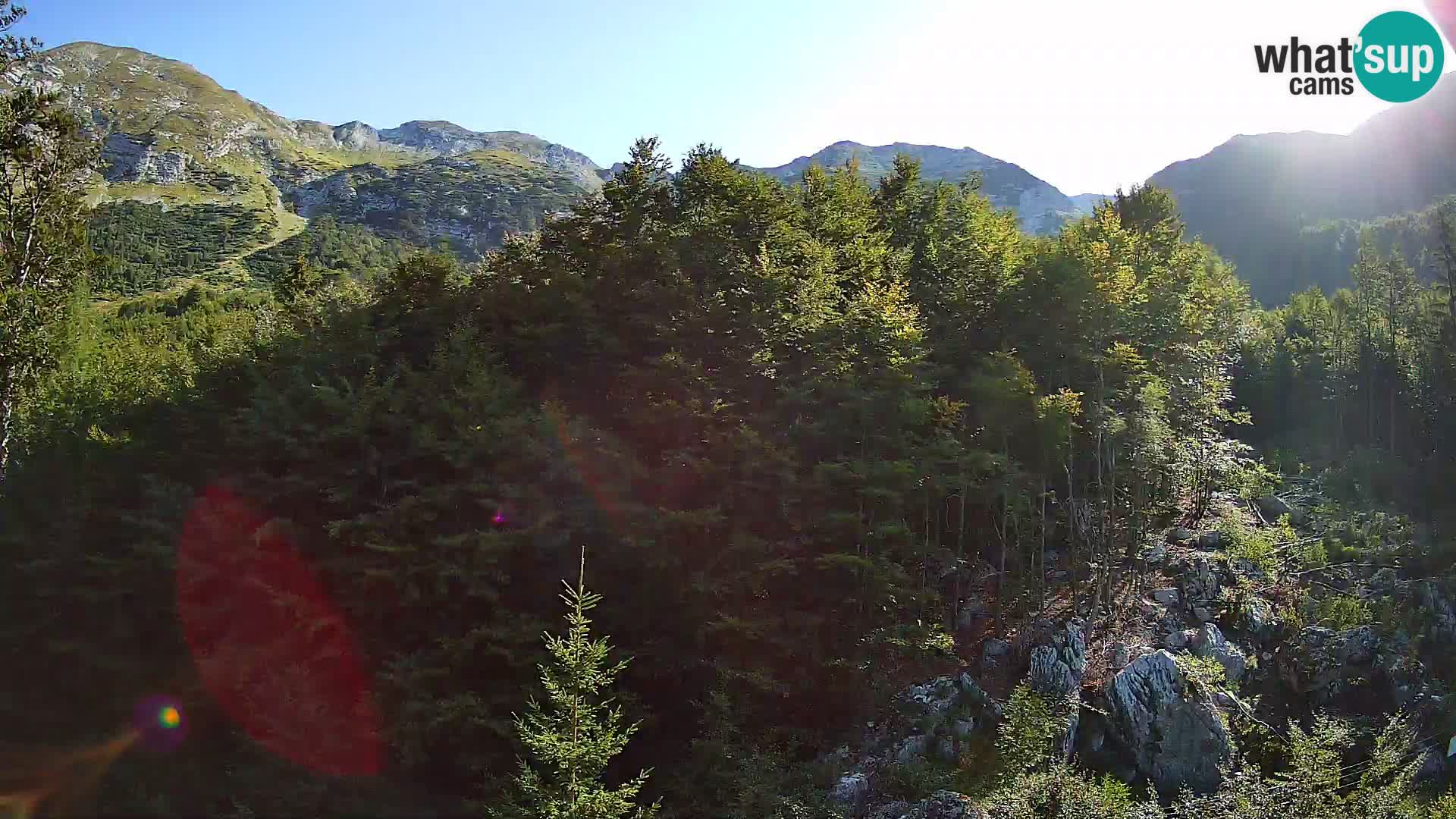 PLANINA RAZOR webcam (1315) | view to Vogel and Globoko
