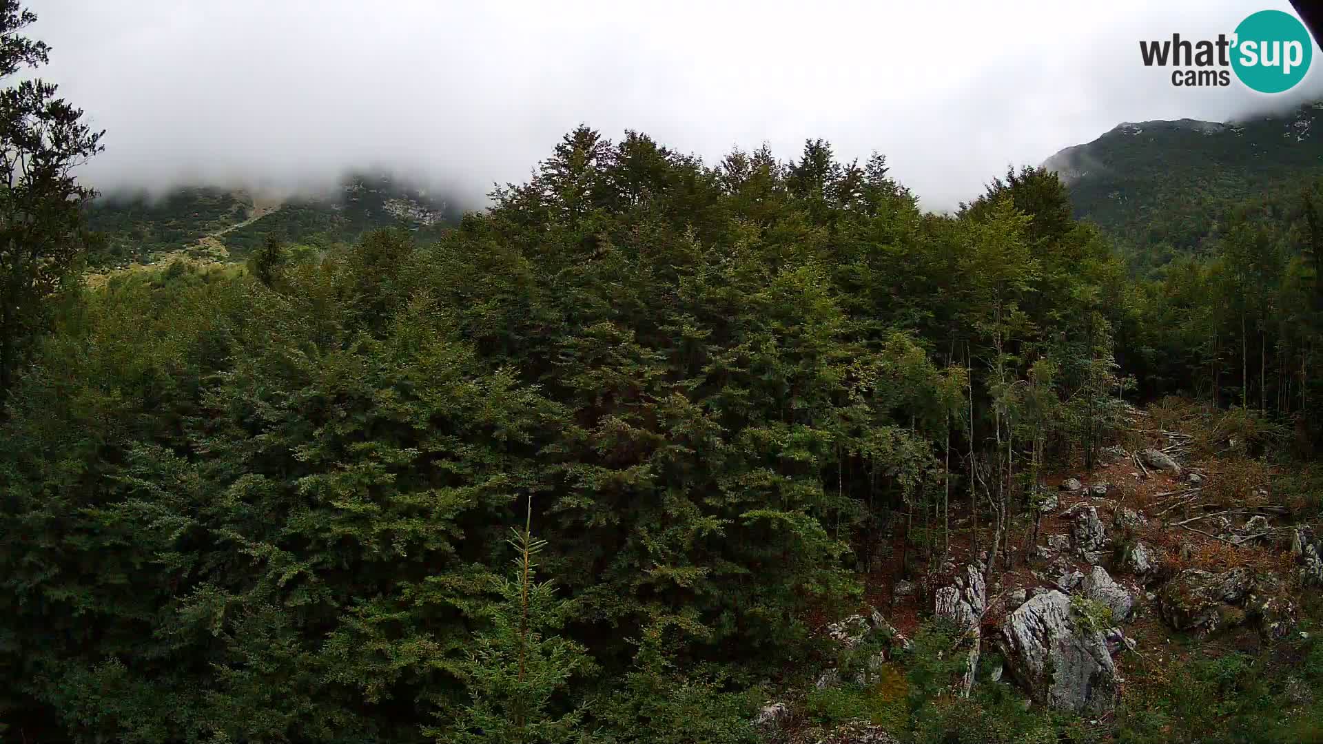 PLANINA RAZOR webcam (1315) | view to Vogel and Globoko