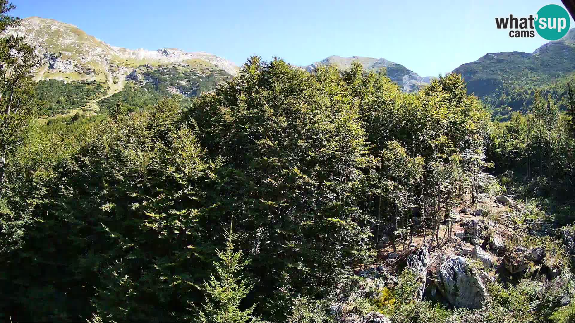 PLANINA RAZOR kamera (1315) | pogled na Vogel in Globoko