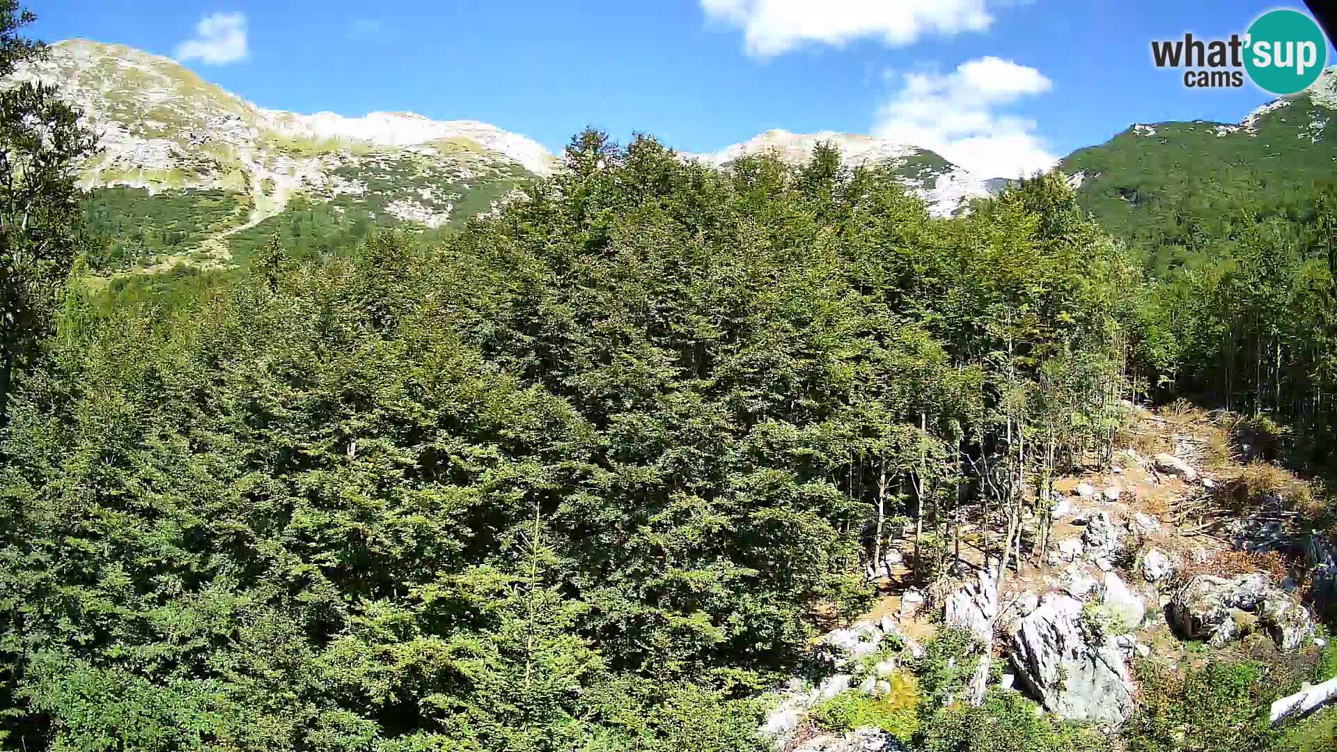 PLANINA RAZOR webcam (1315) | view to Vogel and Globoko