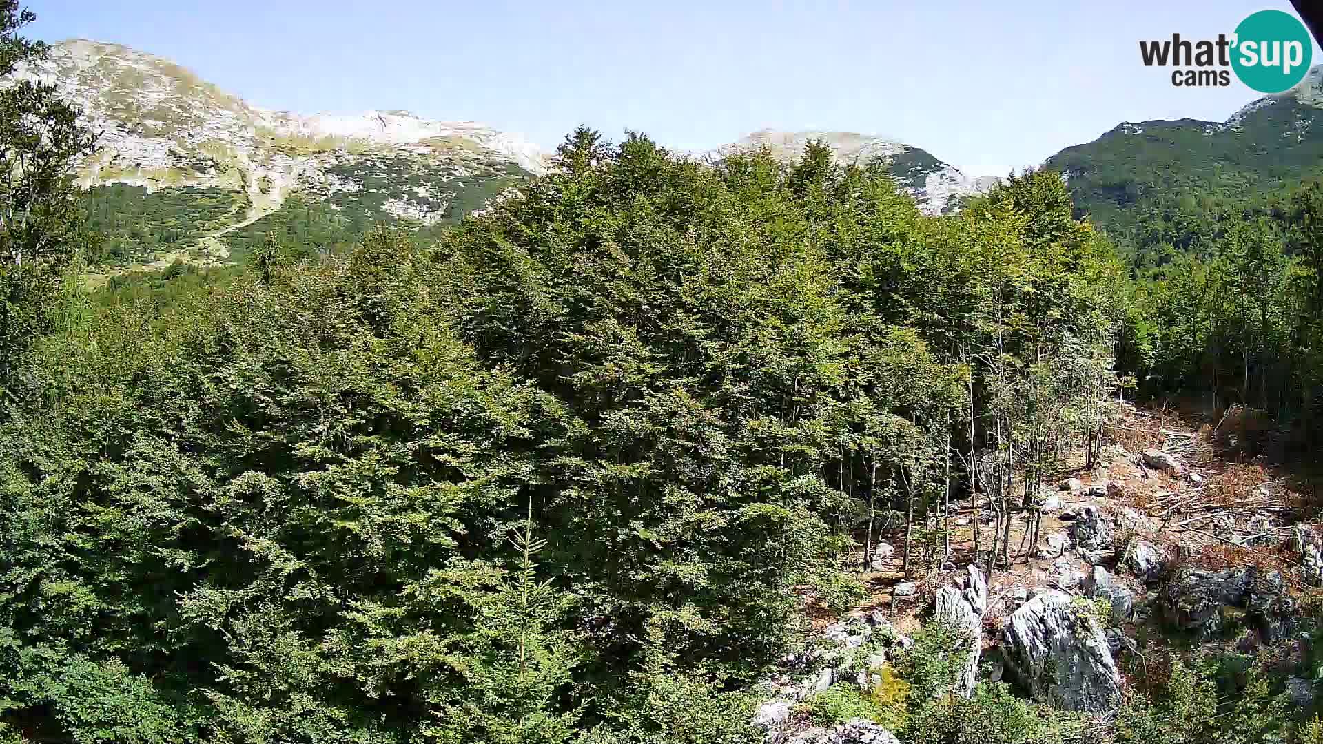 PLANINA RAZOR web kamera (1315) | pogled na Vogel i Globoko