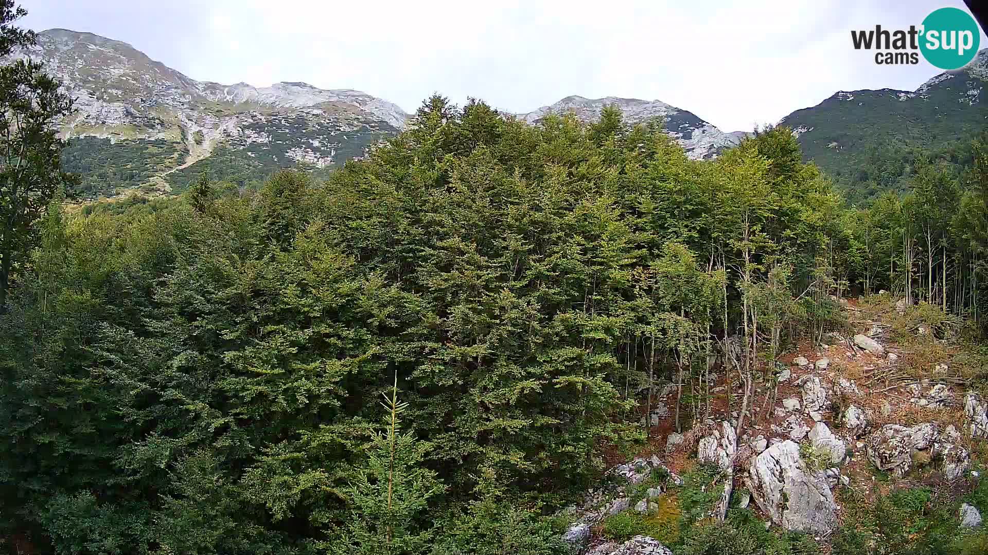 PLANINA RAZOR webcam (1315) | view to Vogel and Globoko