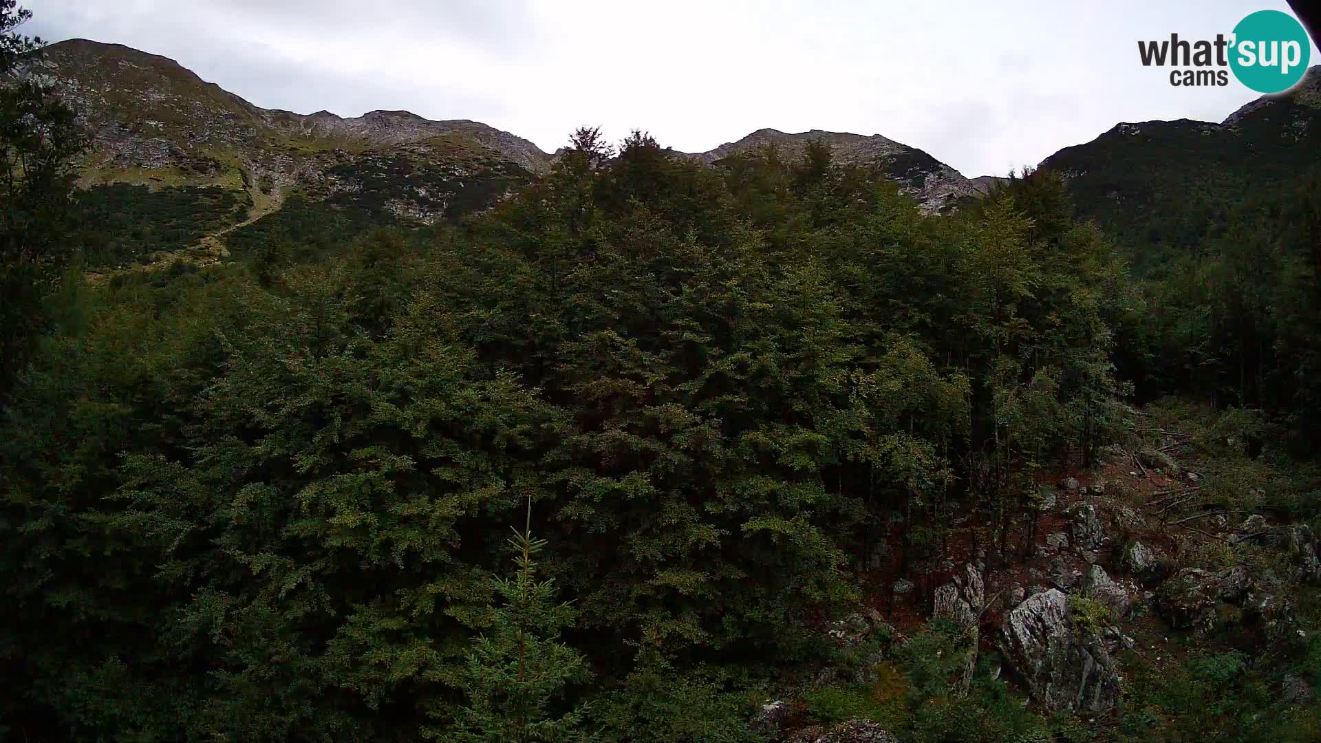 PLANINA RAZOR Live Cam (1315) | vista su Vogel e Globoko