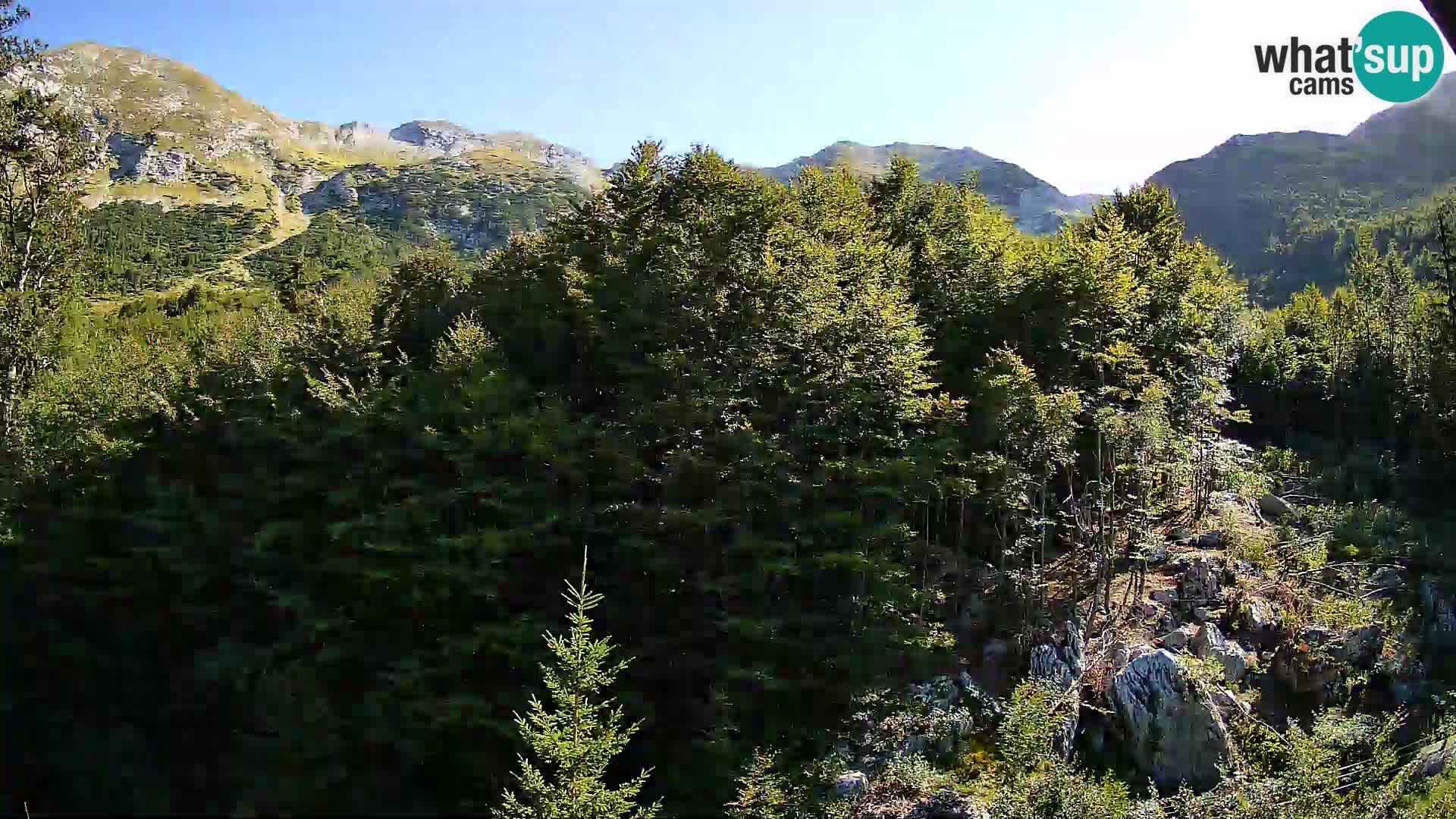 PLANINA RAZOR webcam (1315) | view to Vogel and Globoko