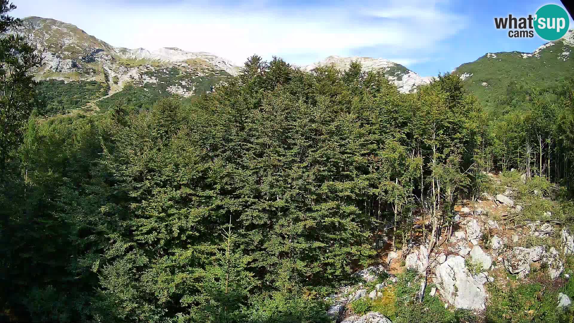 PLANINA RAZOR Live Cam (1315) | vista su Vogel e Globoko