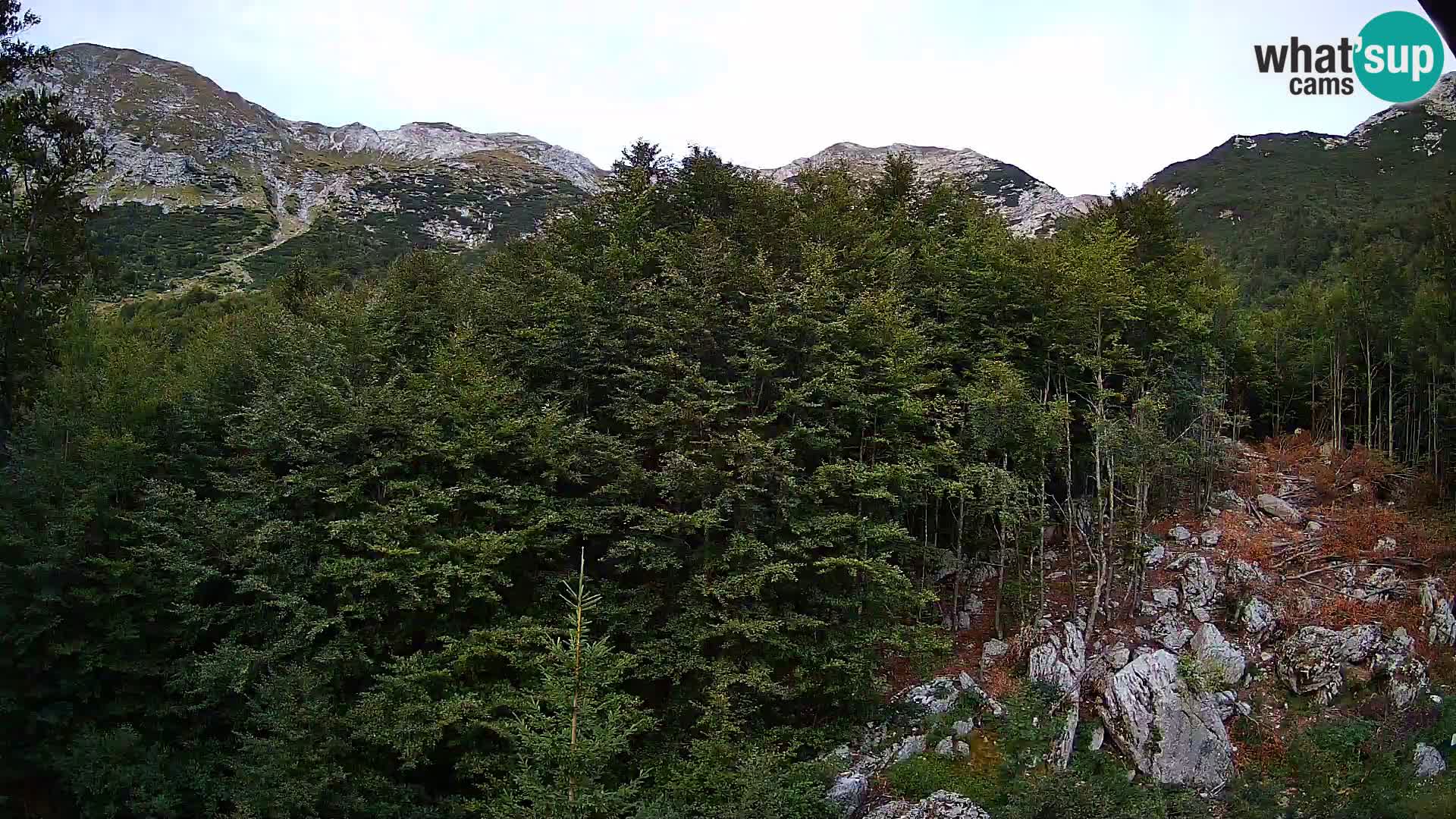 PLANINA RAZOR kamera (1315) | pogled na Vogel in Globoko