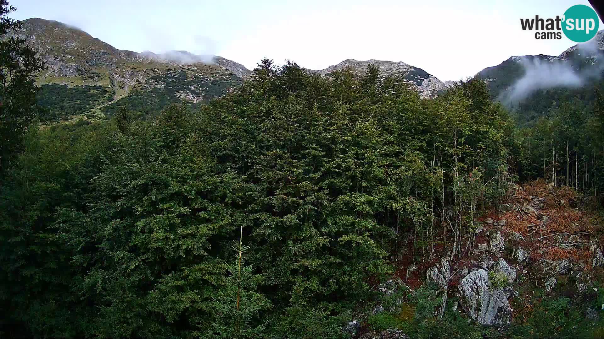 Cámara web PLANINA RAZOR (1315) | vista a Vogel y Globoko