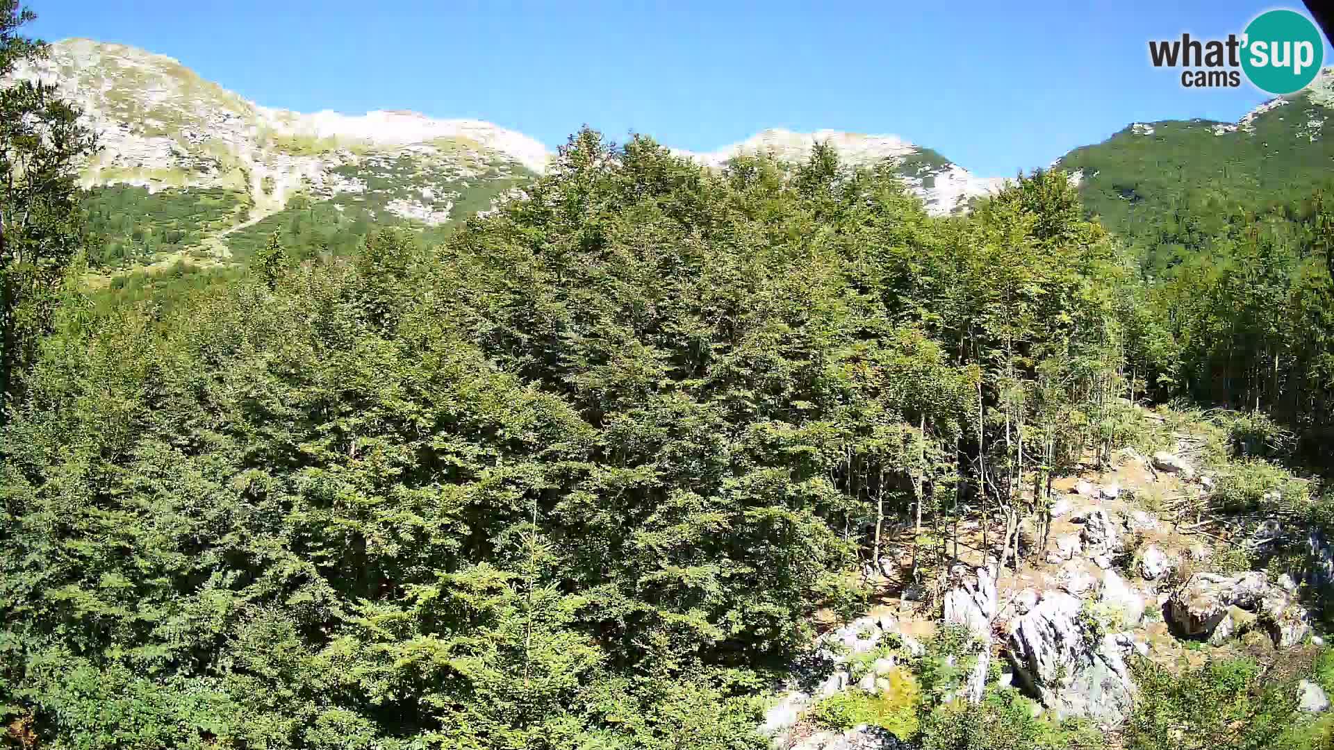 PLANINA RAZOR webcam (1315) | view to Vogel and Globoko