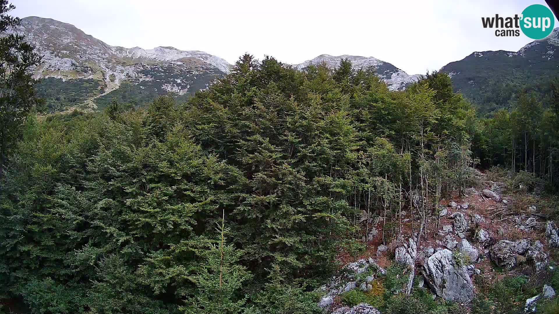Cámara web PLANINA RAZOR (1315) | vista a Vogel y Globoko