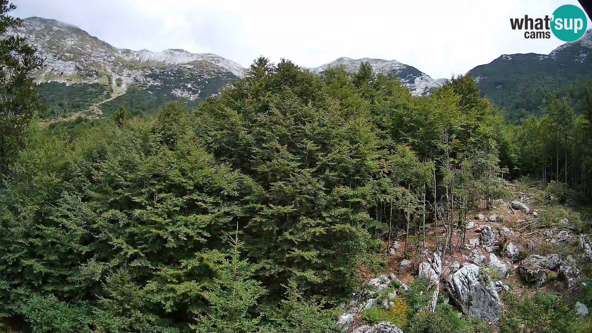 Webcam PLANINA RAZOR (1315) | Blick auf Vogel und Globoko