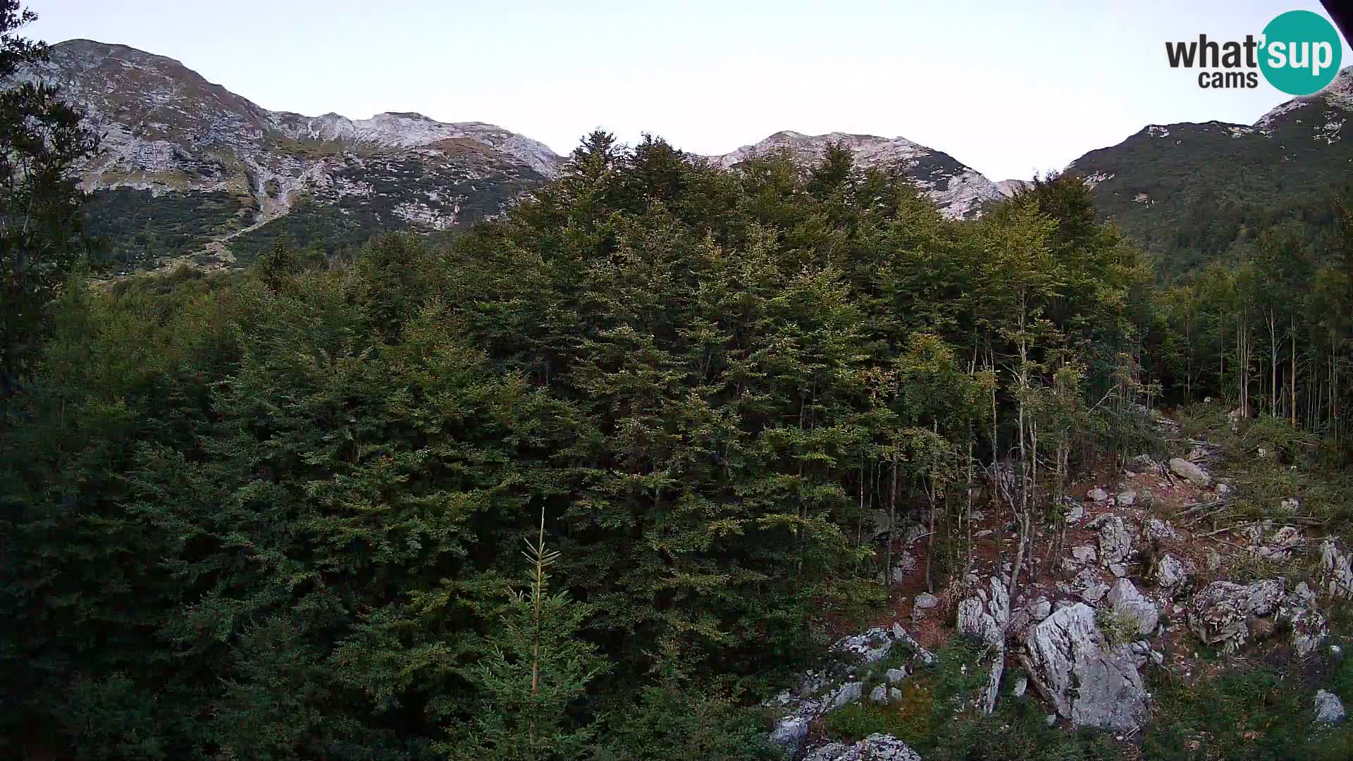 Cámara web PLANINA RAZOR (1315) | vista a Vogel y Globoko