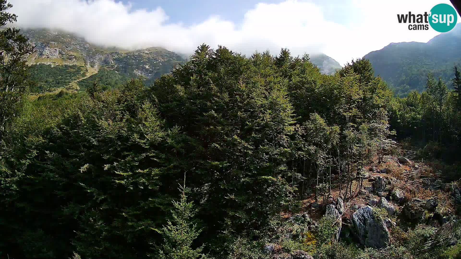 Cámara web PLANINA RAZOR (1315) | vista a Vogel y Globoko