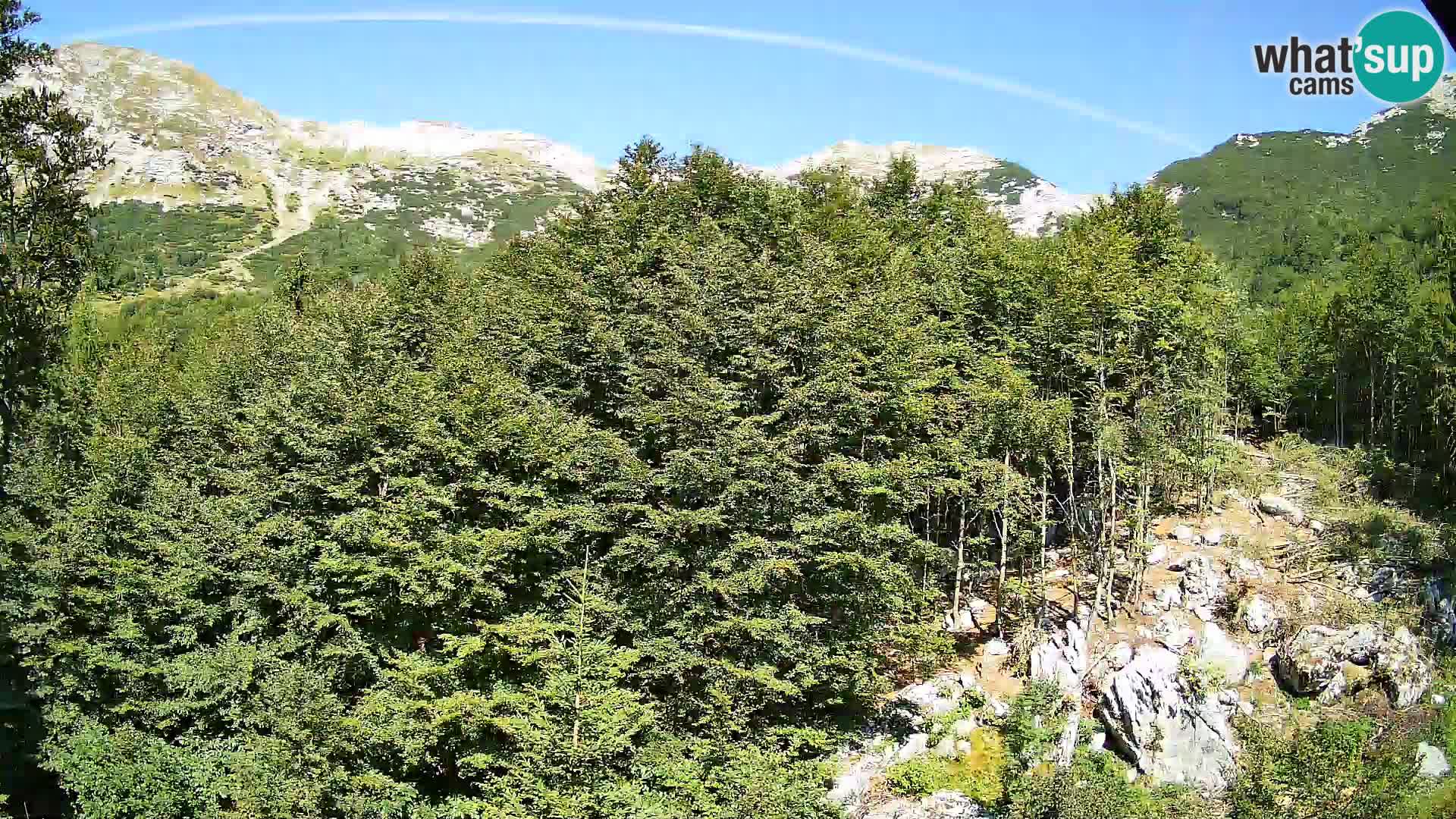 Livecam PLANINA RAZOR (1315) | vue sur Vogel et Globoko