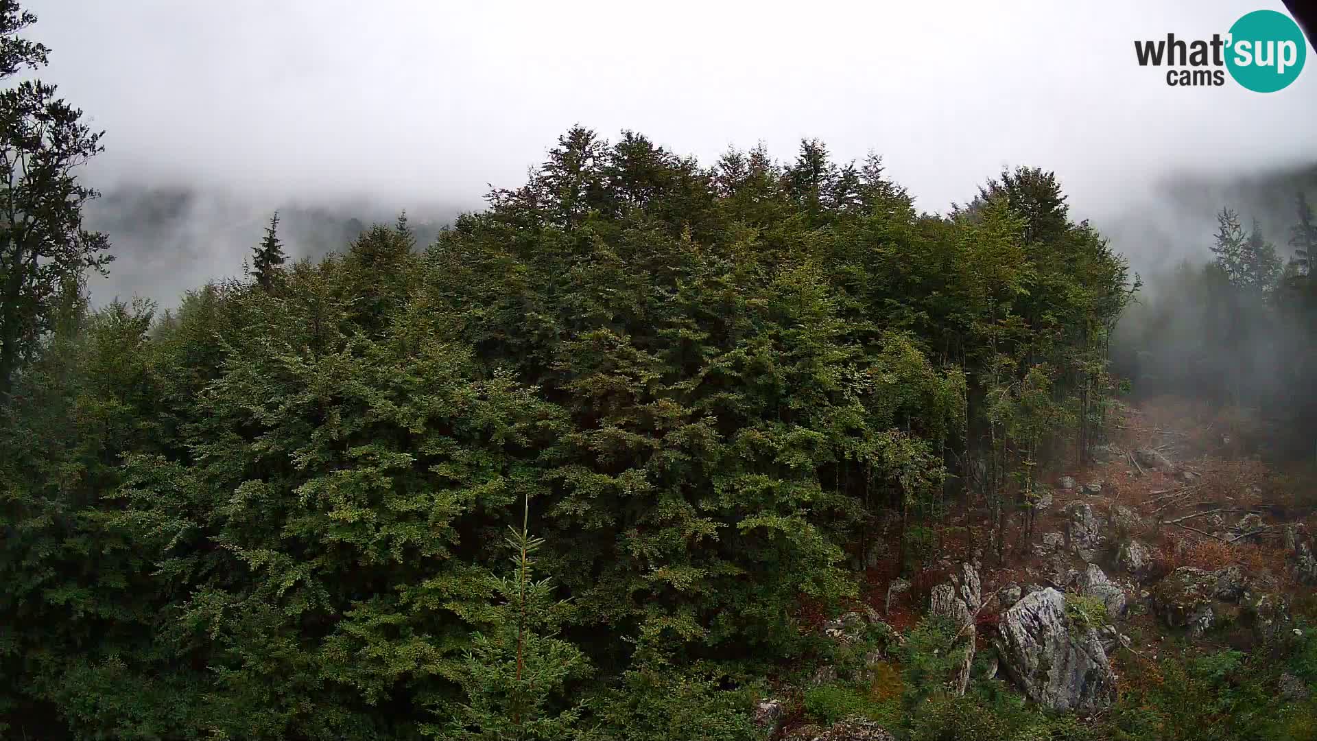 Livecam PLANINA RAZOR (1315) | vue sur Vogel et Globoko