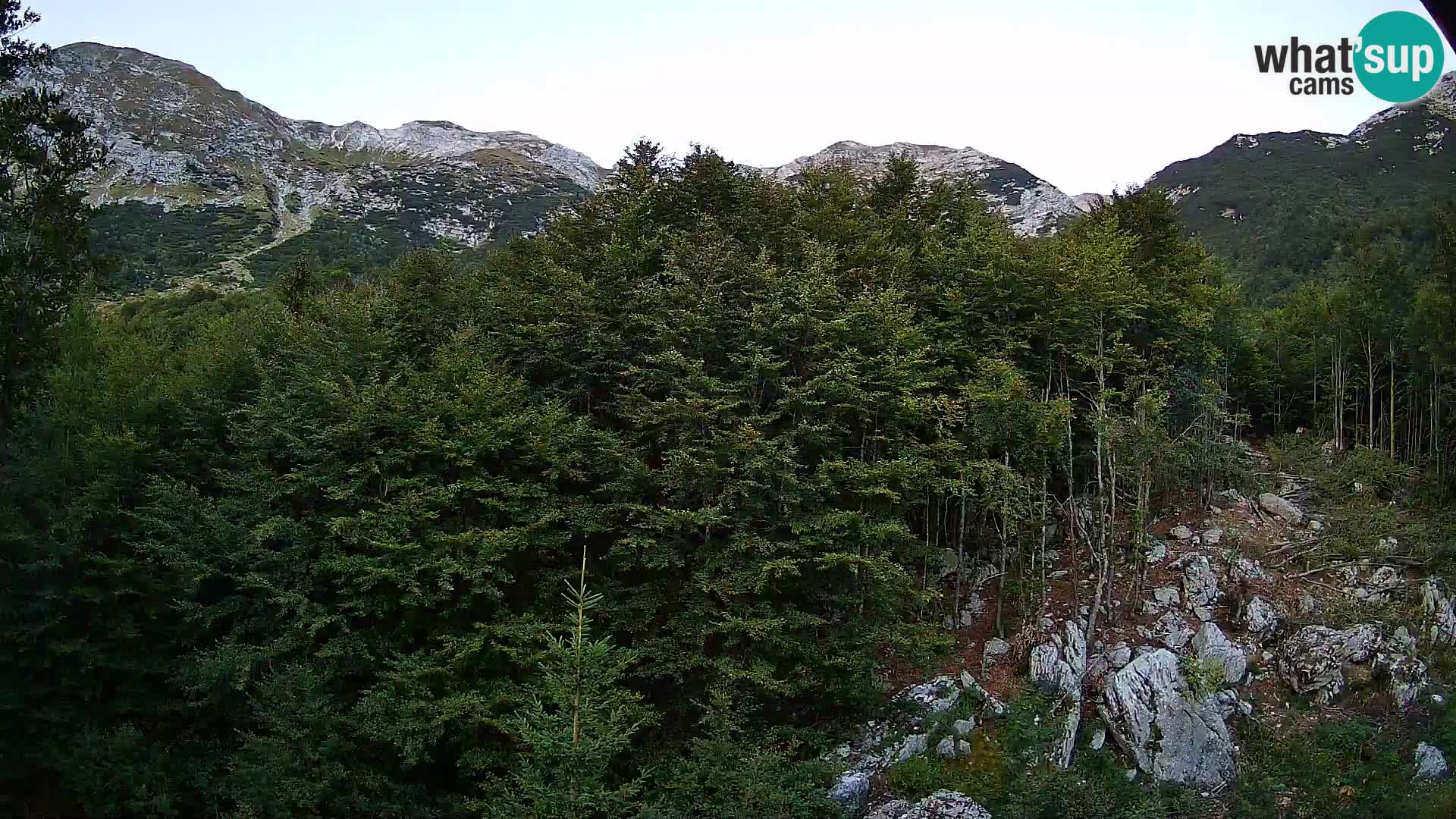 Cámara web PLANINA RAZOR (1315) | vista a Vogel y Globoko