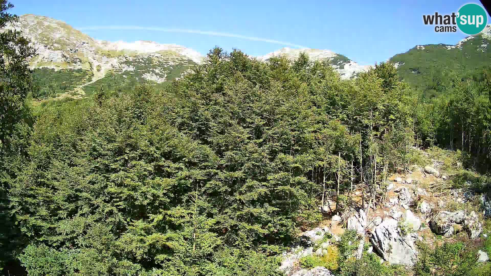 PLANINA RAZOR Live Cam (1315) | vista su Vogel e Globoko