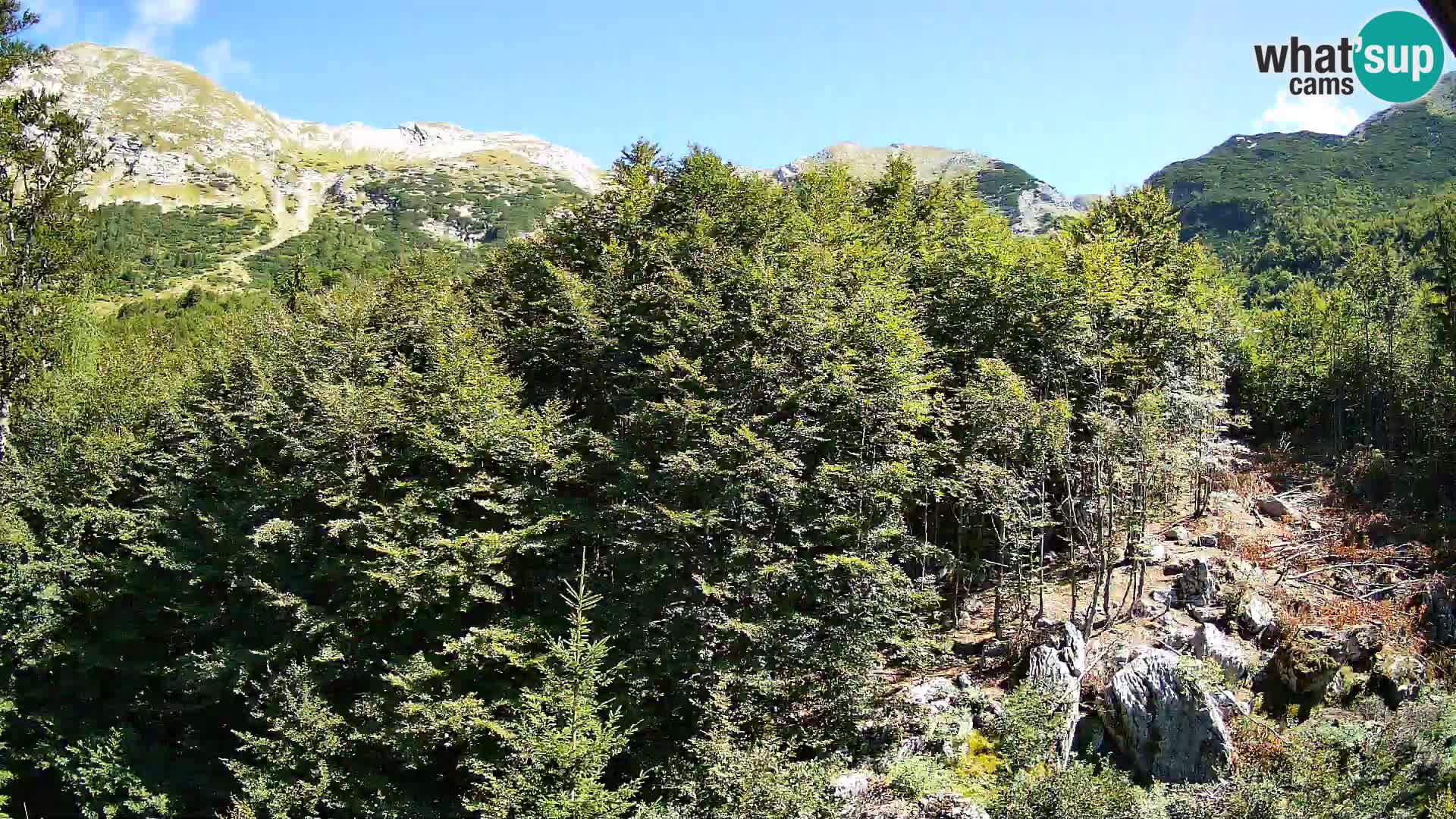 PLANINA RAZOR Live Cam (1315) | vista su Vogel e Globoko
