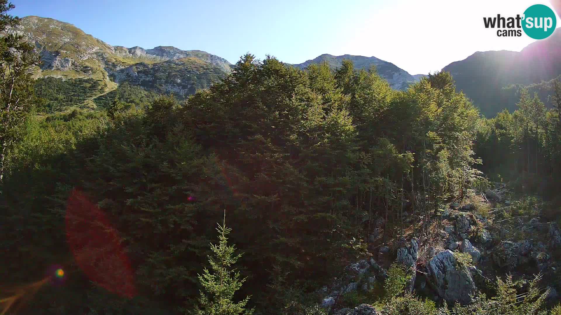PLANINA RAZOR webcam (1315) | view to Vogel and Globoko