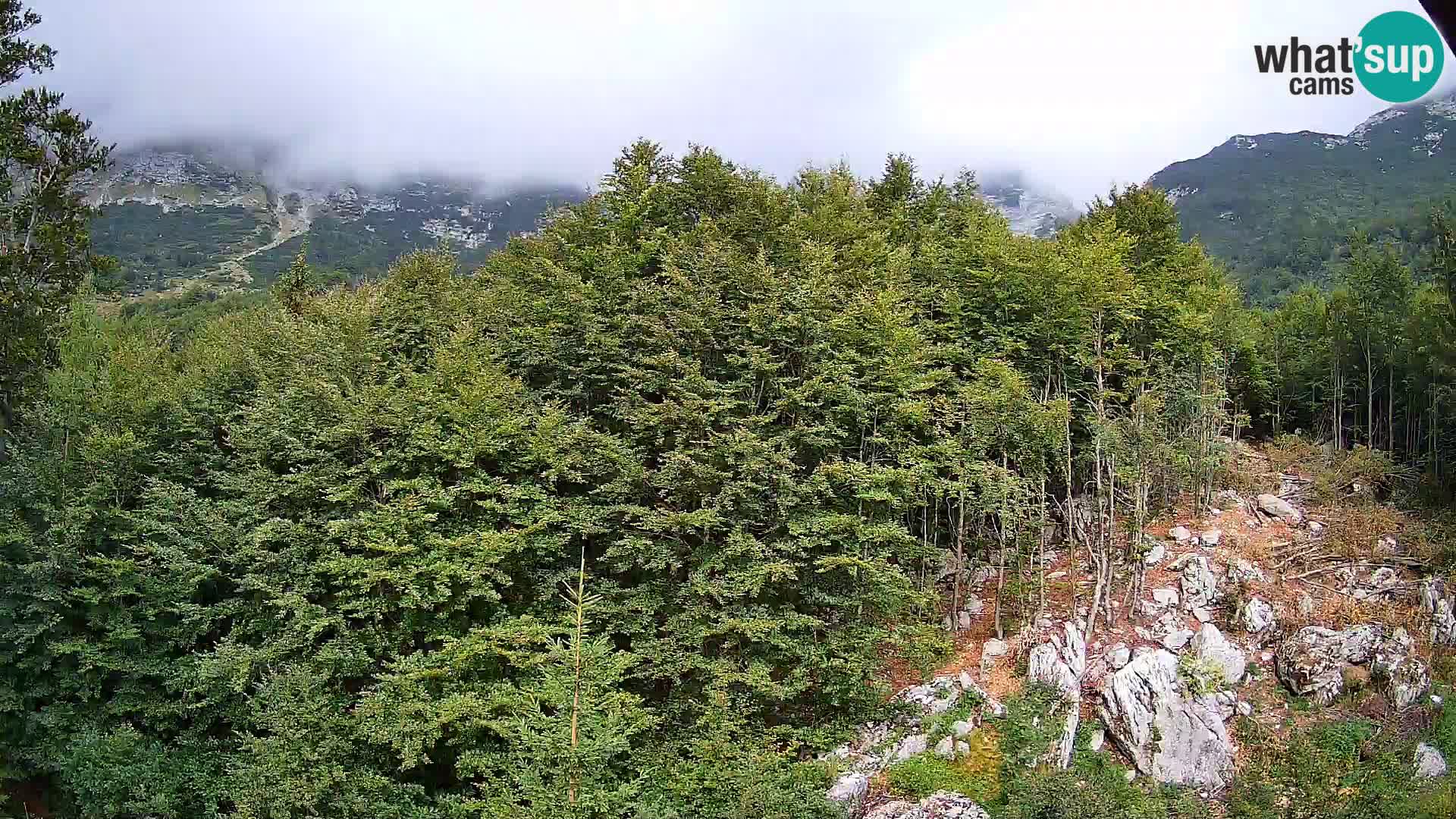 PLANINA RAZOR webcam (1315) | view to Vogel and Globoko