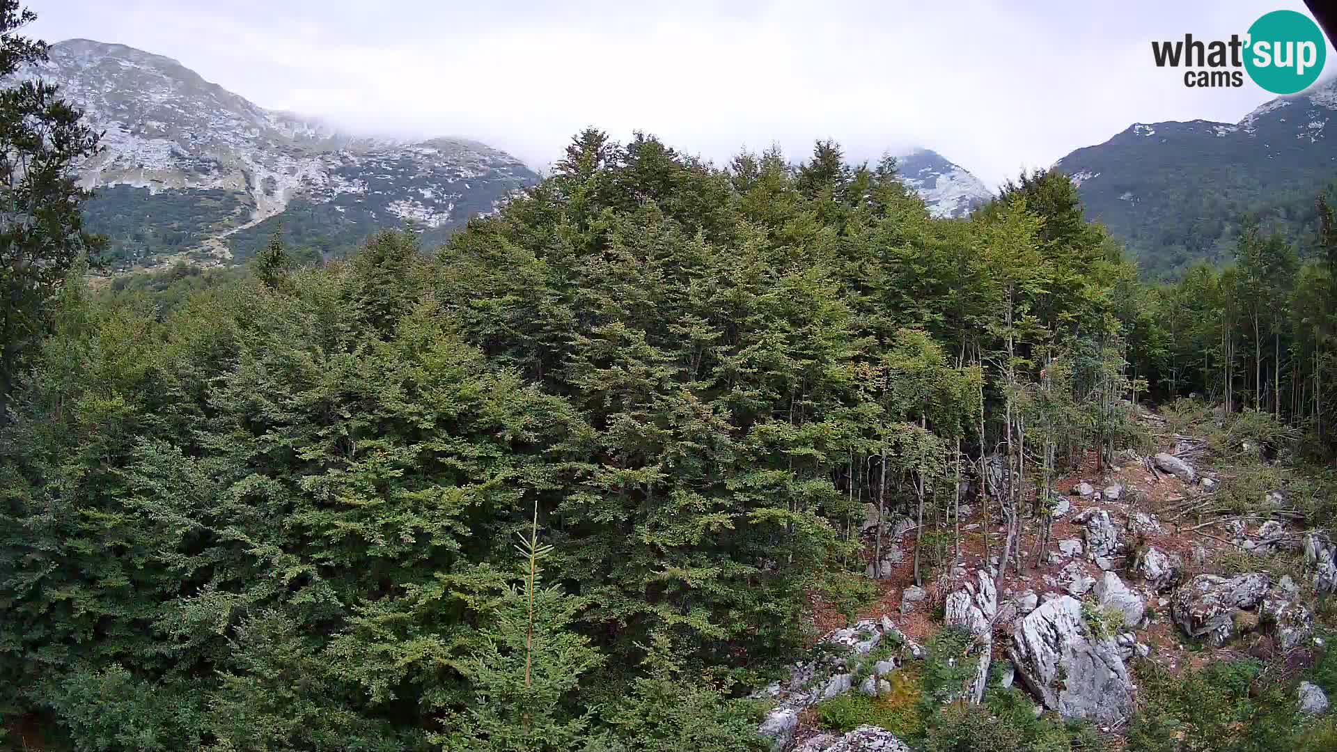 Cámara web PLANINA RAZOR (1315) | vista a Vogel y Globoko