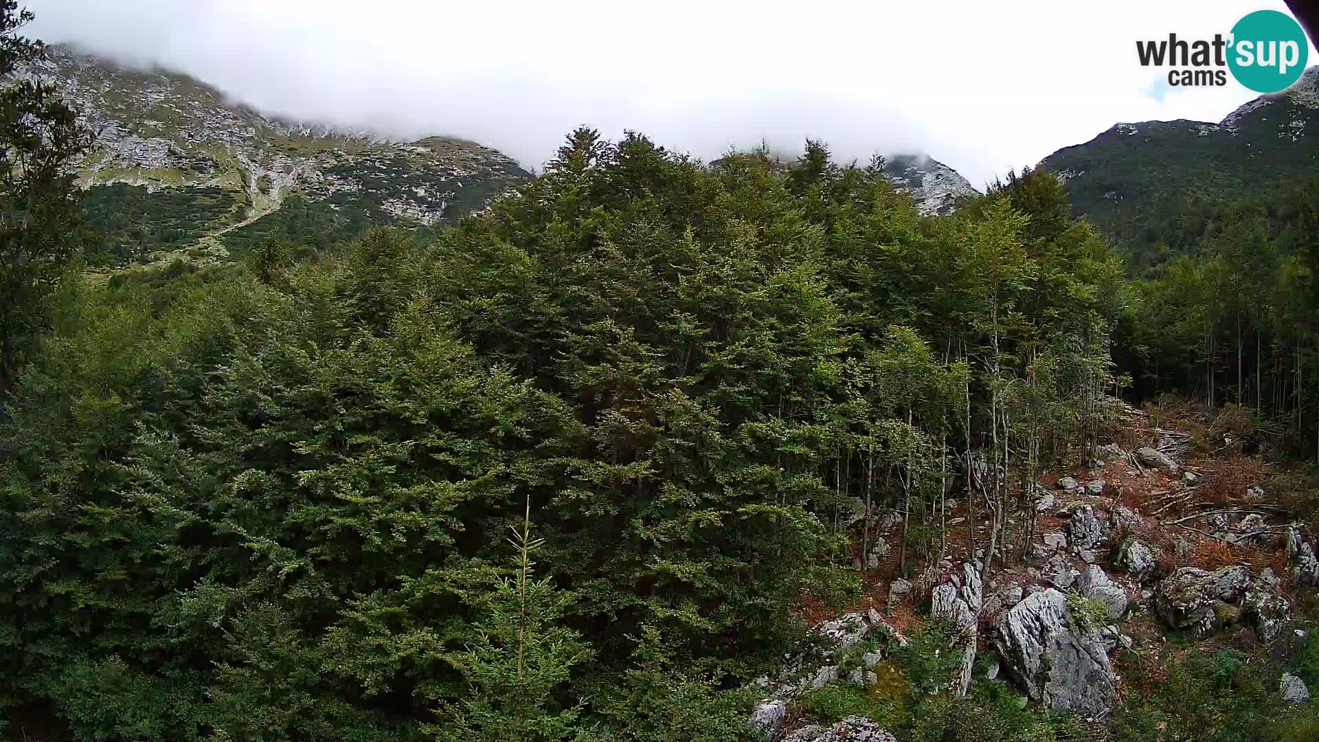 Webcam PLANINA RAZOR (1315) | Blick auf Vogel und Globoko