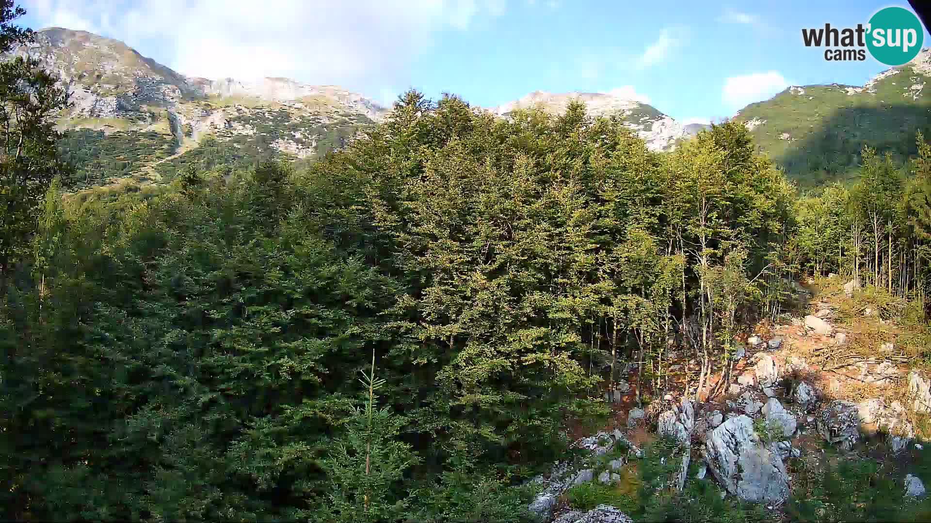 Cámara web PLANINA RAZOR (1315) | vista a Vogel y Globoko