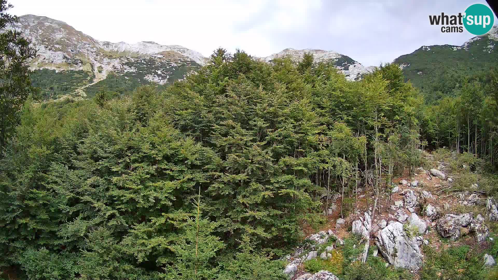 PLANINA RAZOR webcam (1315) | view to Vogel and Globoko