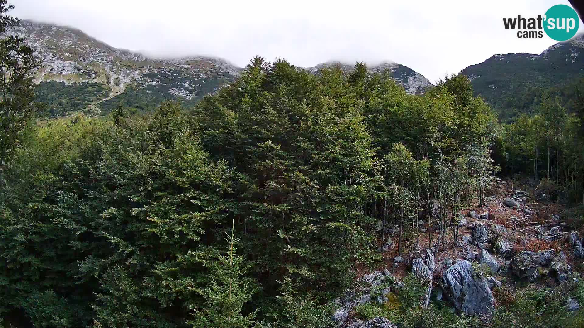 PLANINA RAZOR webcam (1315) | view to Vogel and Globoko