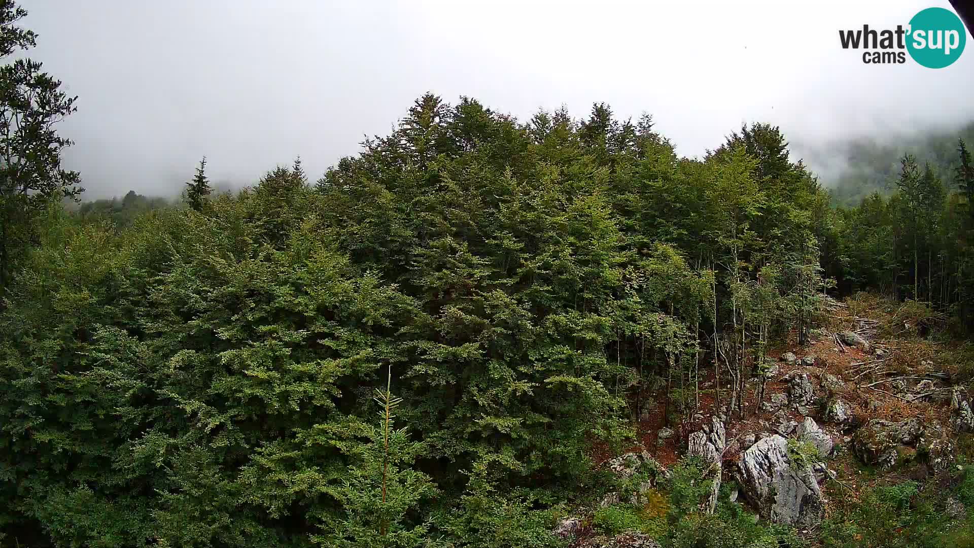 Livecam PLANINA RAZOR (1315) | vue sur Vogel et Globoko