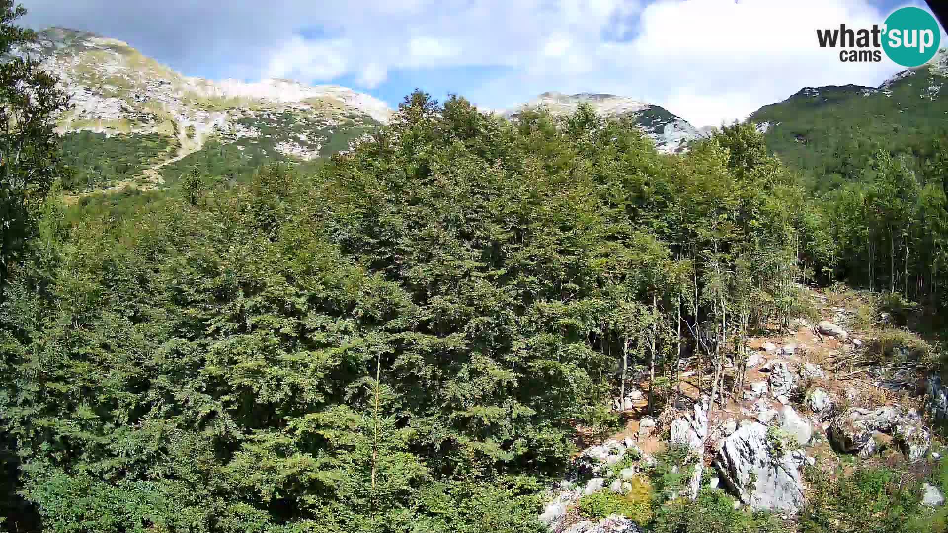 PLANINA RAZOR webcam (1315) | view to Vogel and Globoko