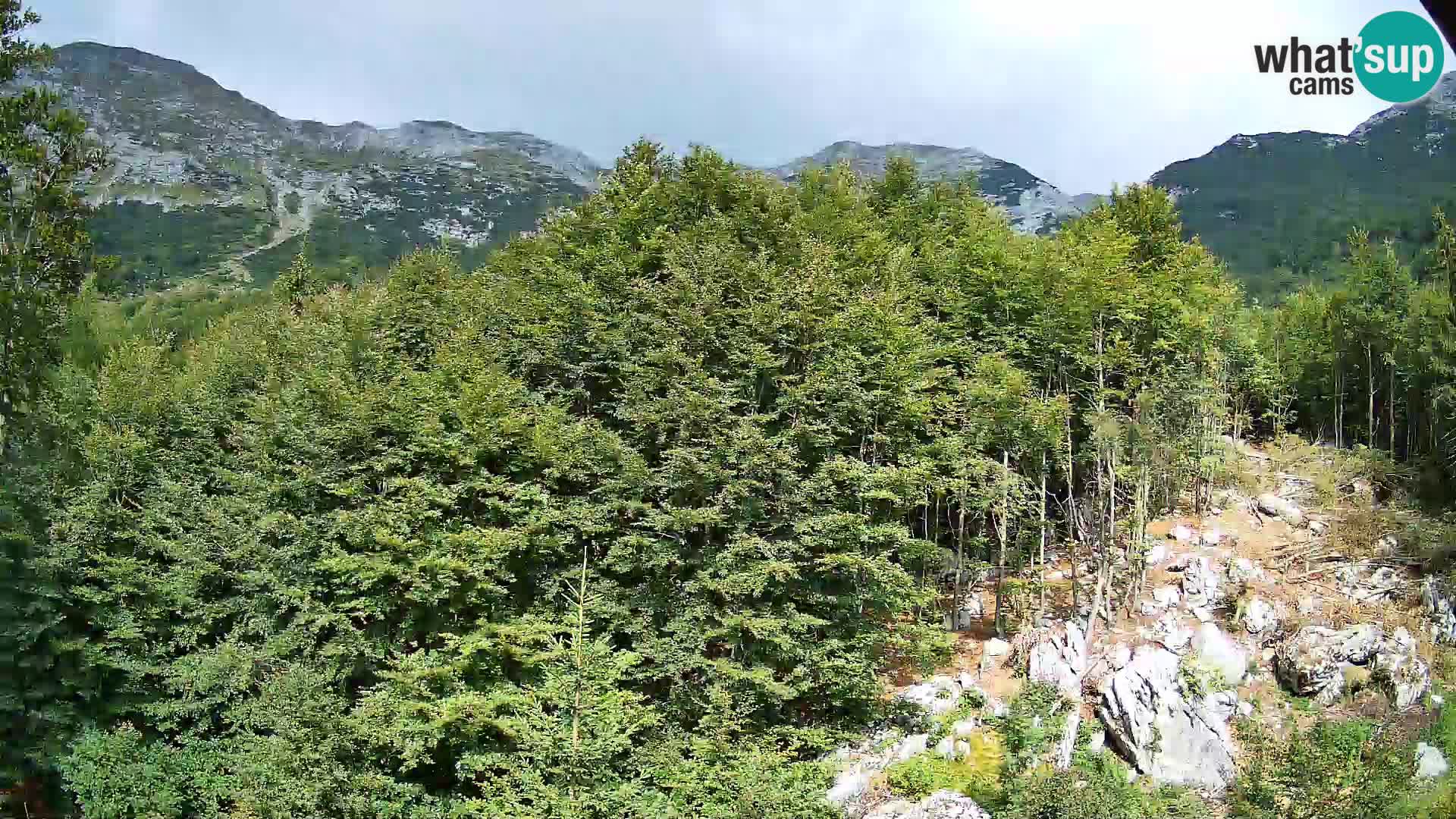 Cámara web PLANINA RAZOR (1315) | vista a Vogel y Globoko