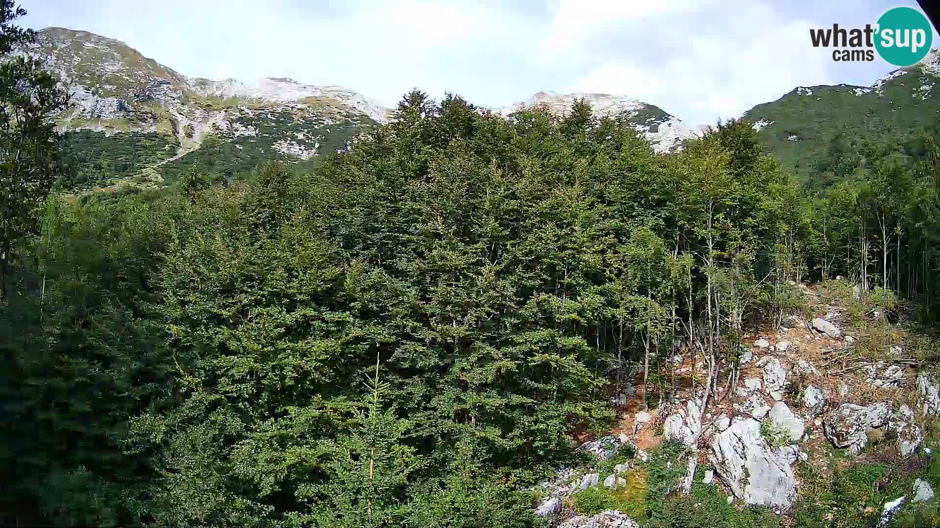 PLANINA RAZOR Live Cam (1315) | vista su Vogel e Globoko