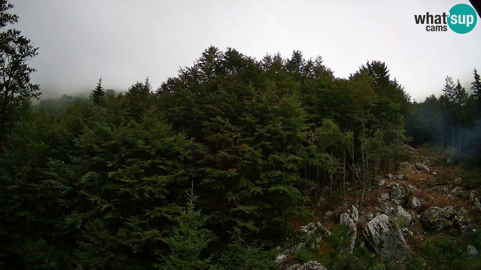 Webcam PLANINA RAZOR (1315) | Blick auf Vogel und Globoko