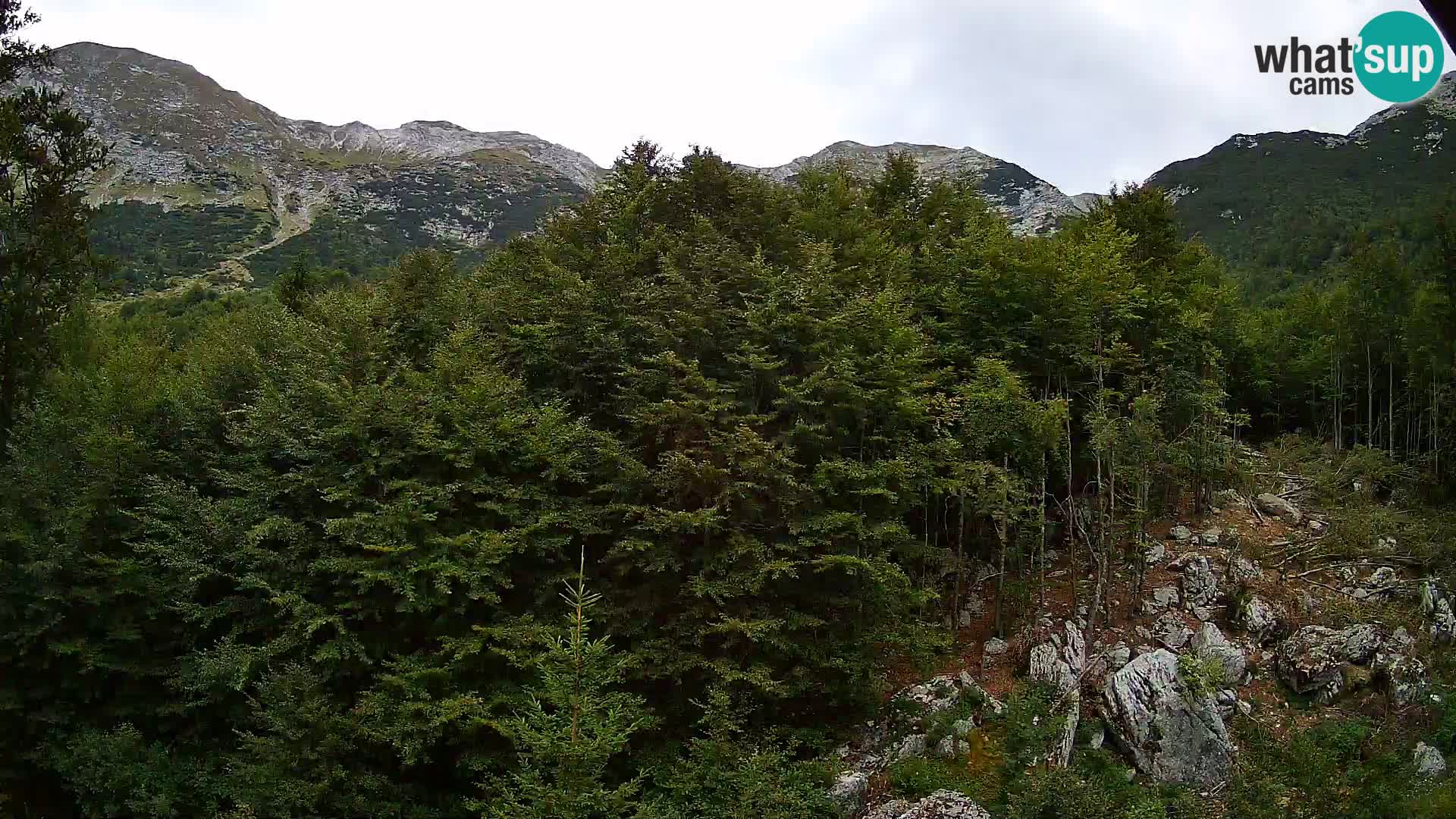 Webcam PLANINA RAZOR (1315) | Blick auf Vogel und Globoko