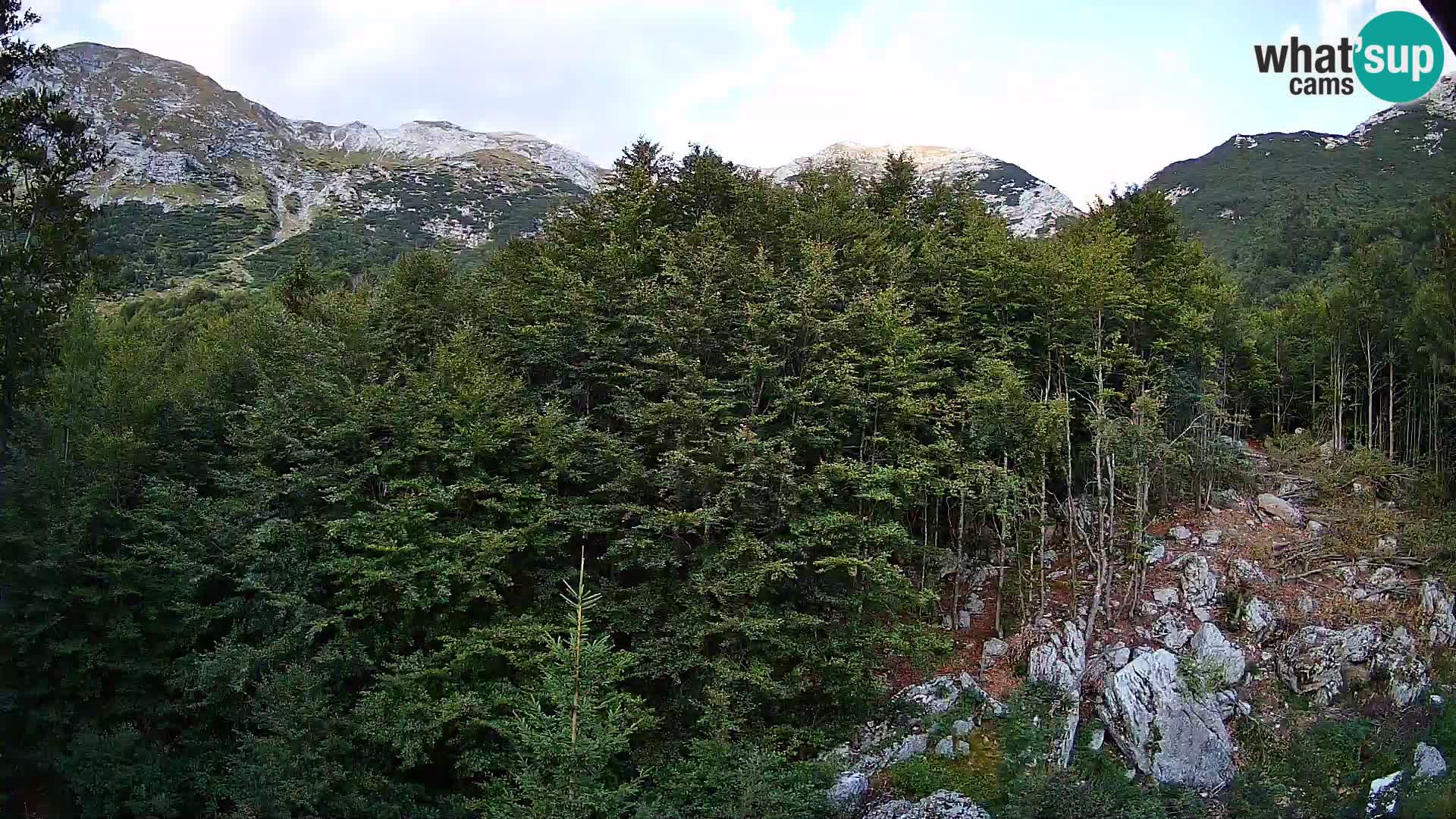 PLANINA RAZOR Live Cam (1315) | vista su Vogel e Globoko