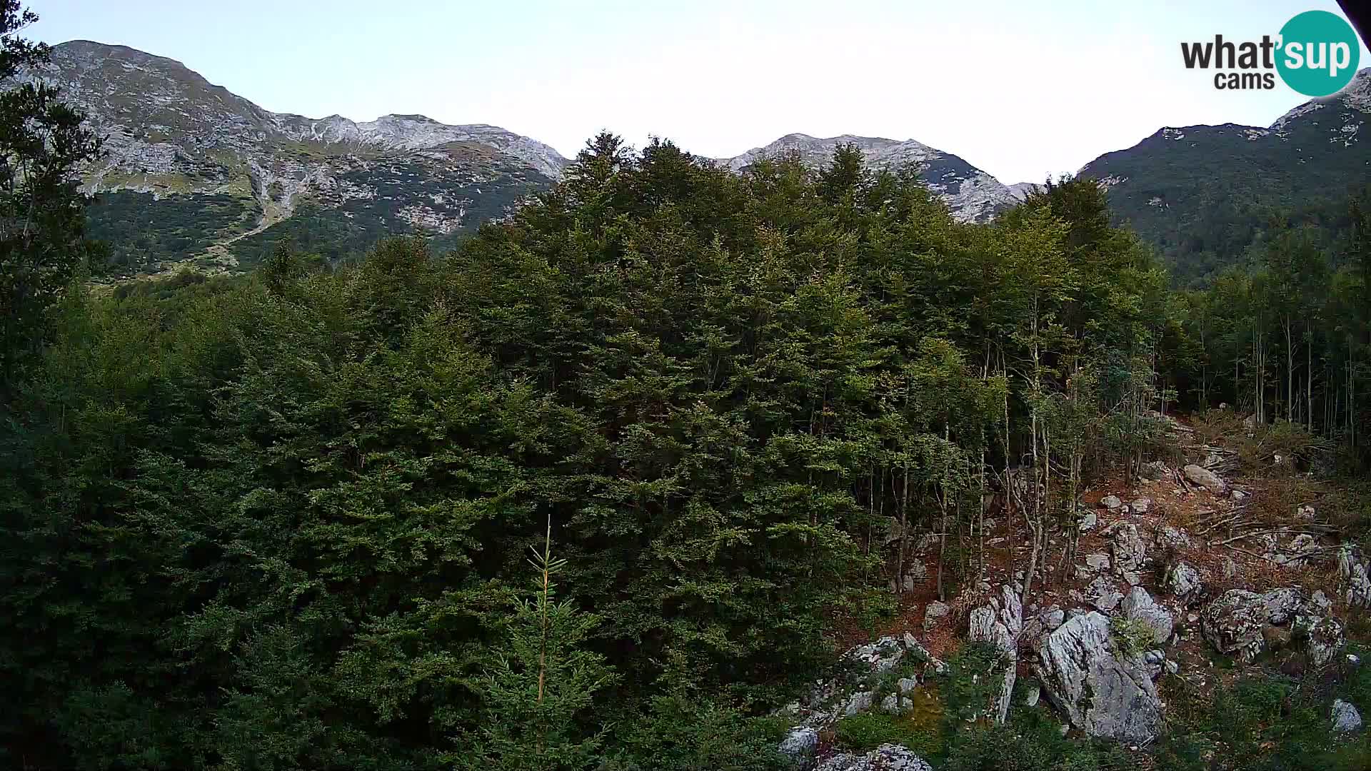 Cámara web PLANINA RAZOR (1315) | vista a Vogel y Globoko