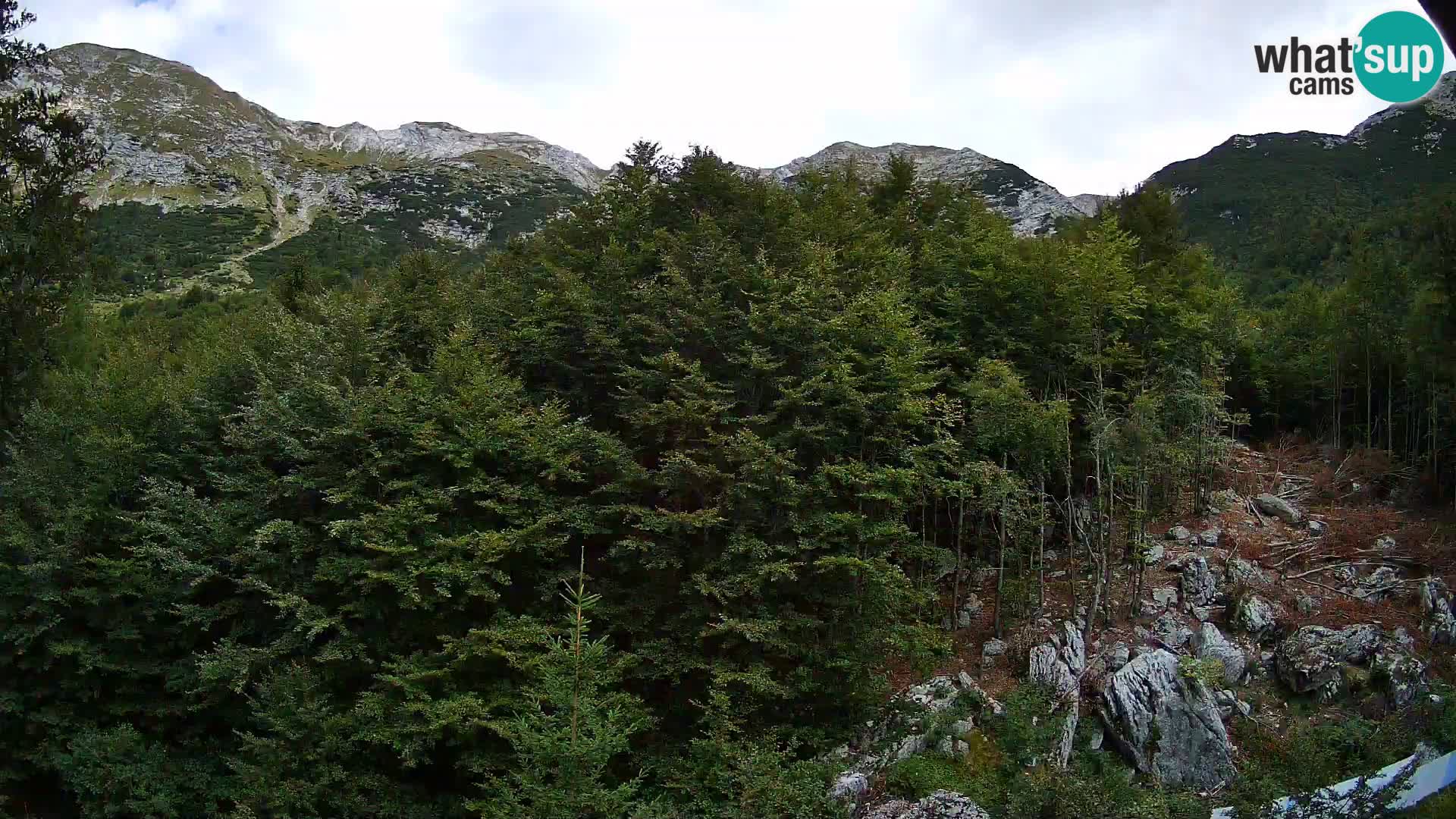 PLANINA RAZOR web kamera (1315) | pogled na Vogel i Globoko