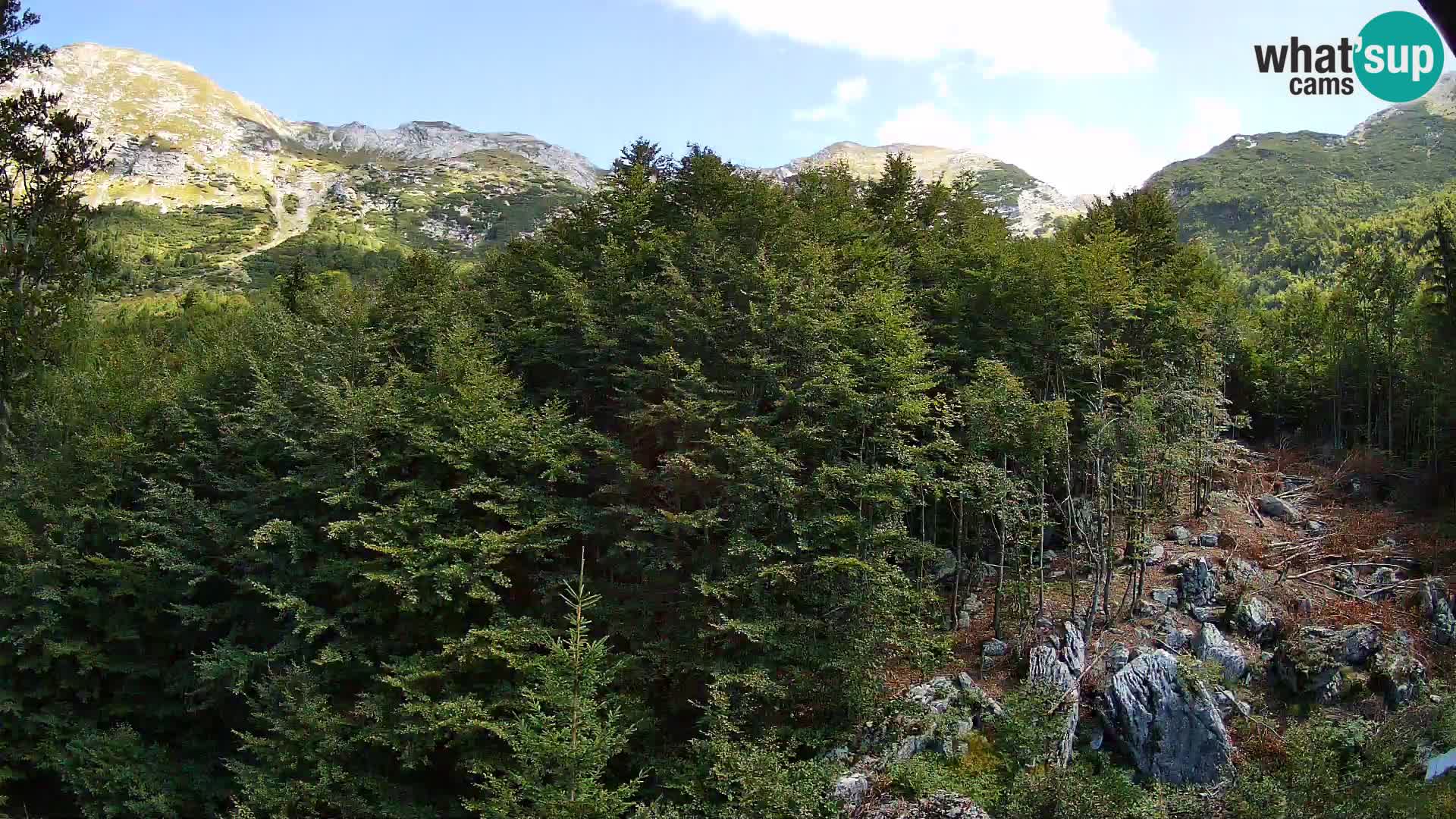 PLANINA RAZOR Live Cam (1315) | vista su Vogel e Globoko