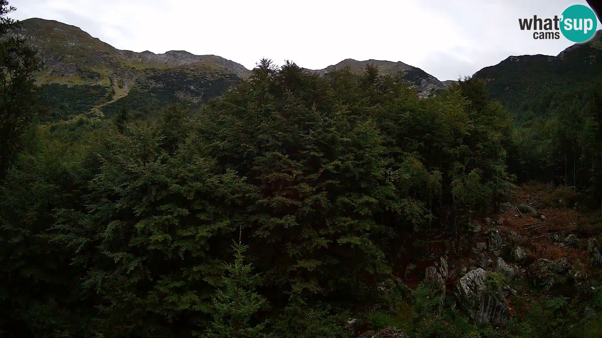 PLANINA RAZOR kamera (1315) | pogled na Vogel in Globoko