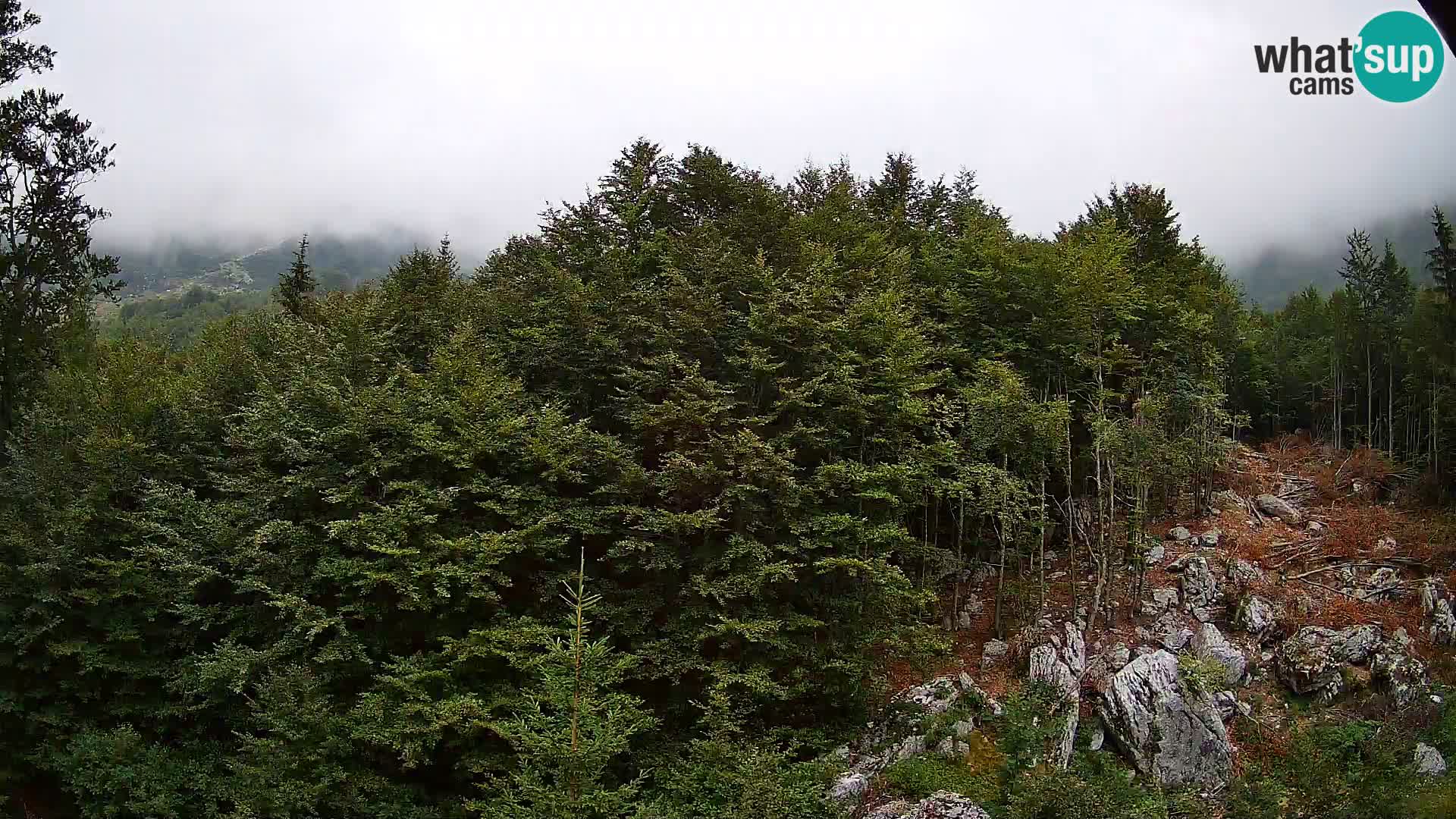 PLANINA RAZOR kamera (1315) | pogled na Vogel in Globoko