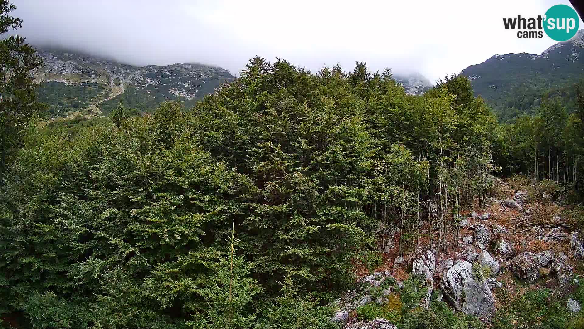 PLANINA RAZOR Live Cam (1315) | vista su Vogel e Globoko