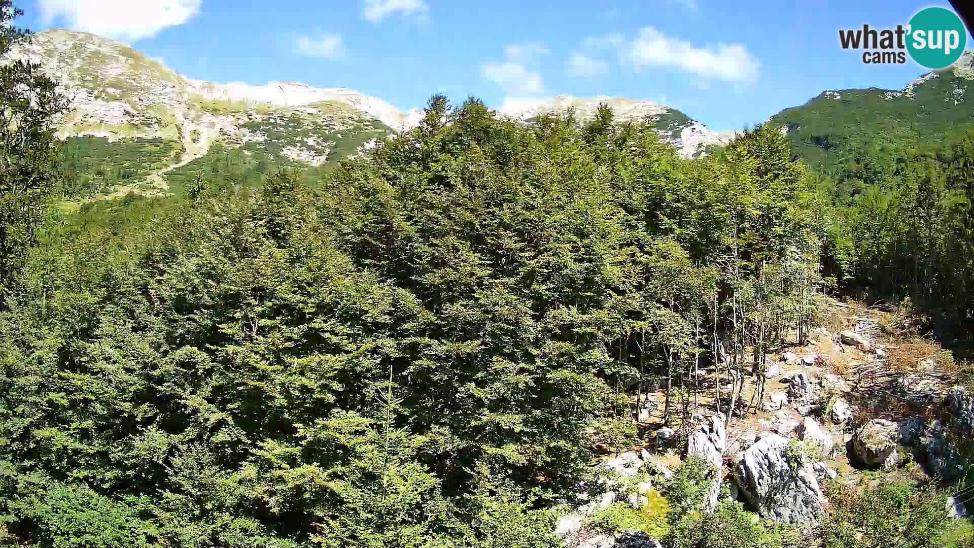 Webcam PLANINA RAZOR (1315) | Blick auf Vogel und Globoko