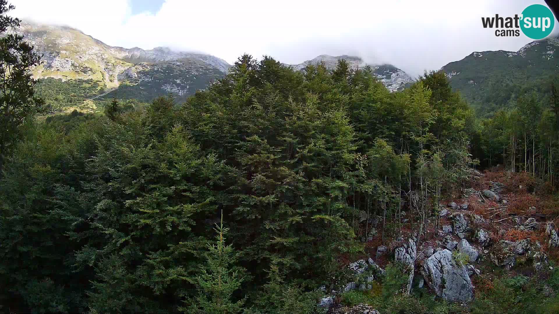 Livecam PLANINA RAZOR (1315) | vue sur Vogel et Globoko