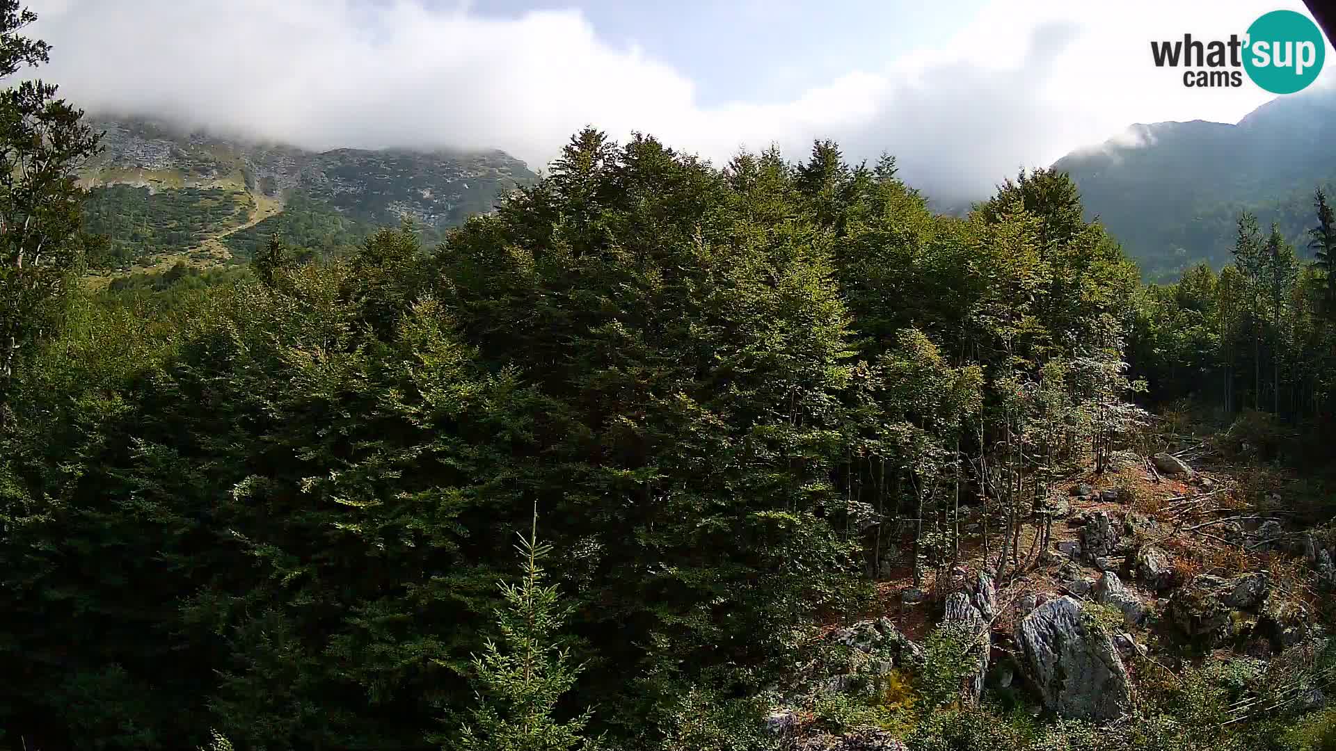 Livecam PLANINA RAZOR (1315) | vue sur Vogel et Globoko