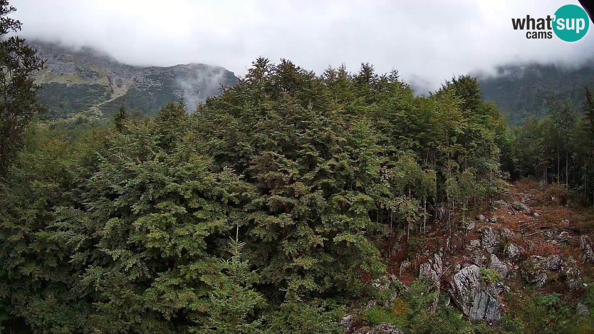 PLANINA RAZOR webcam (1315) | view to Vogel and Globoko