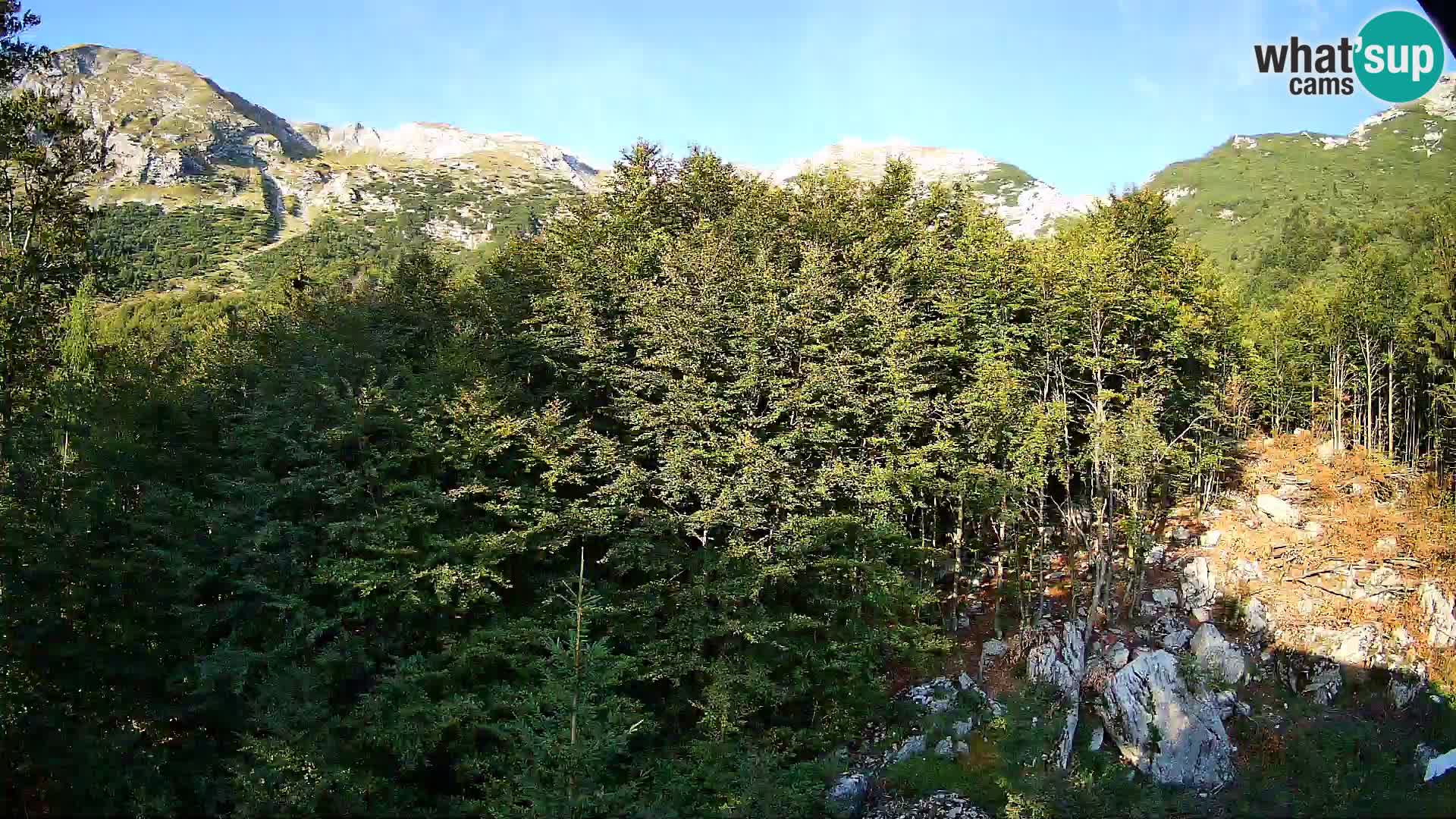 PLANINA RAZOR webcam (1315) | view to Vogel and Globoko